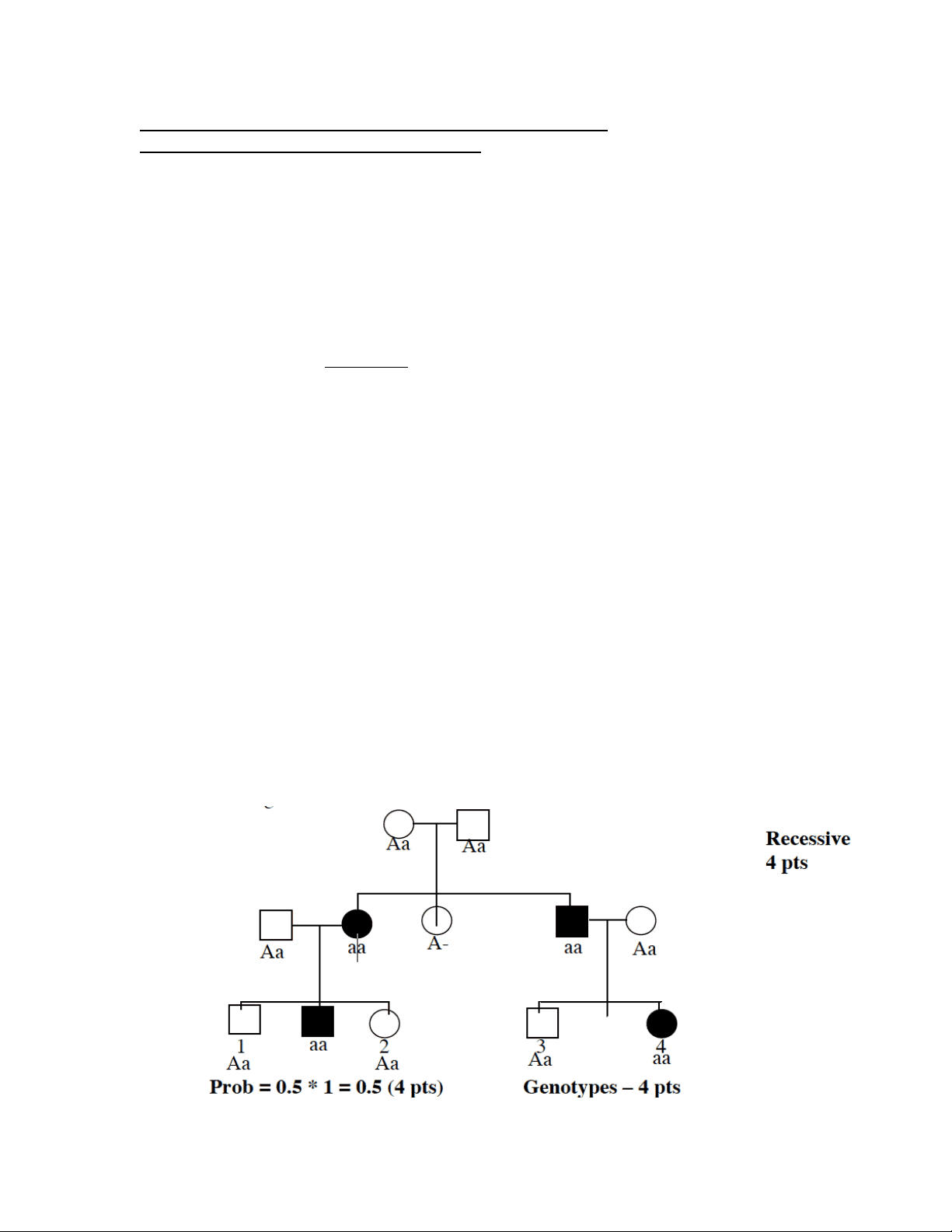 bg1