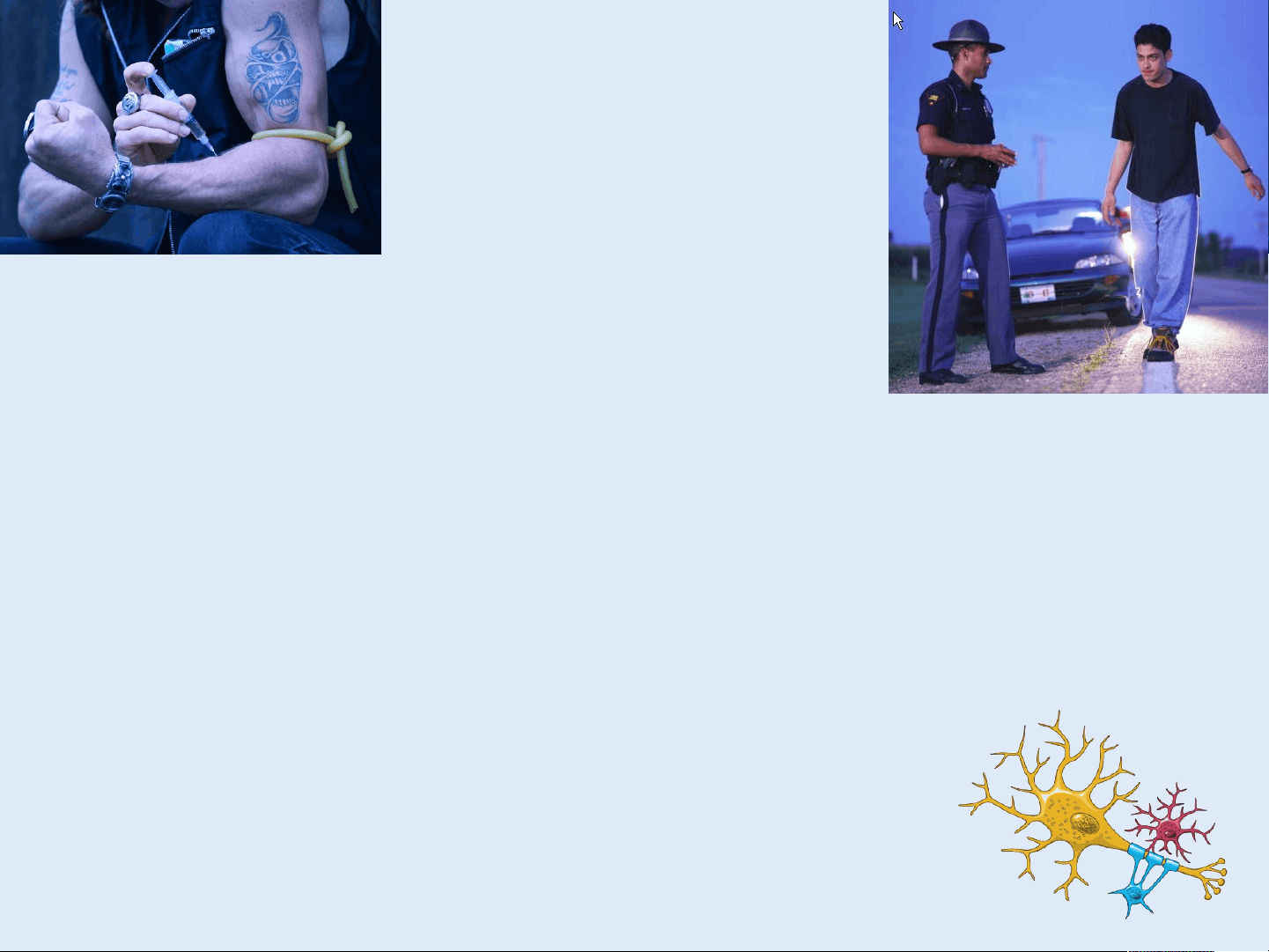 bg1