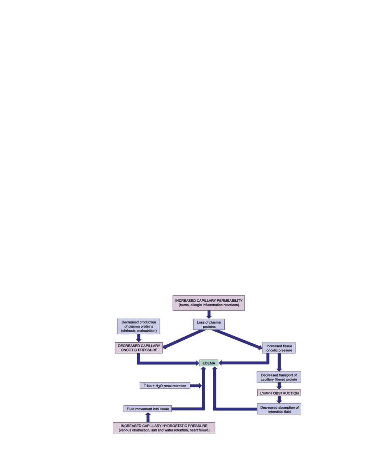 bg1
