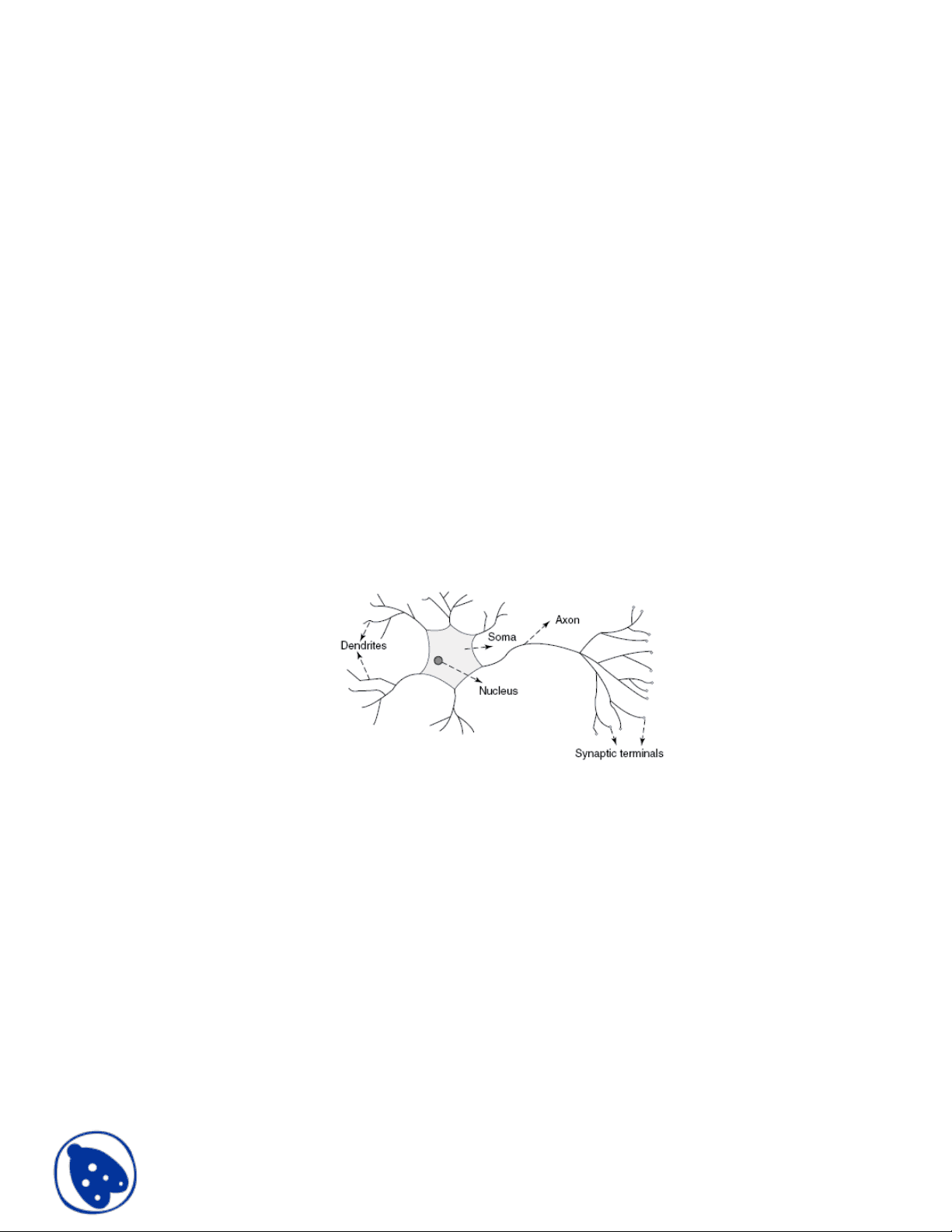 bg1