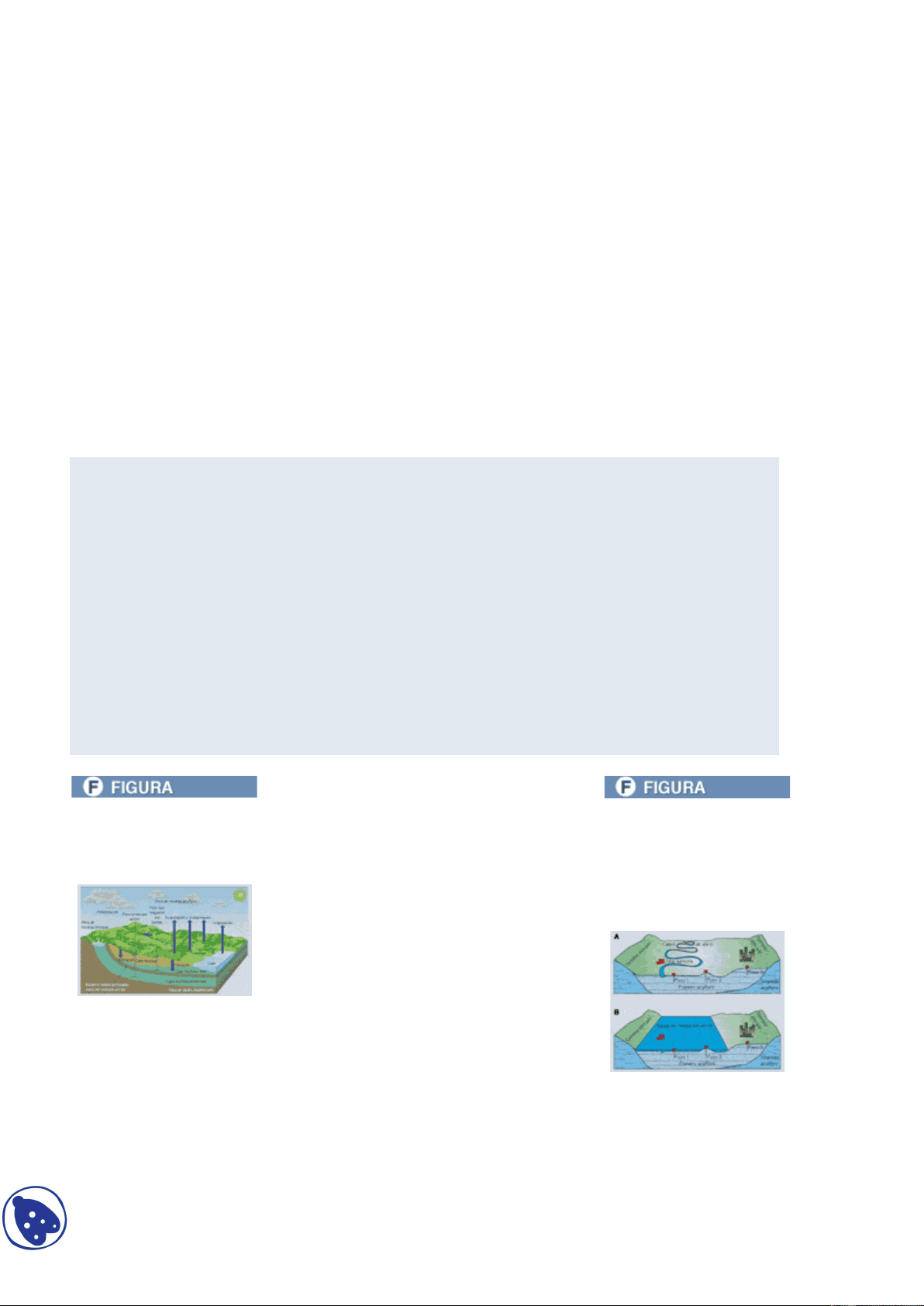 bg1