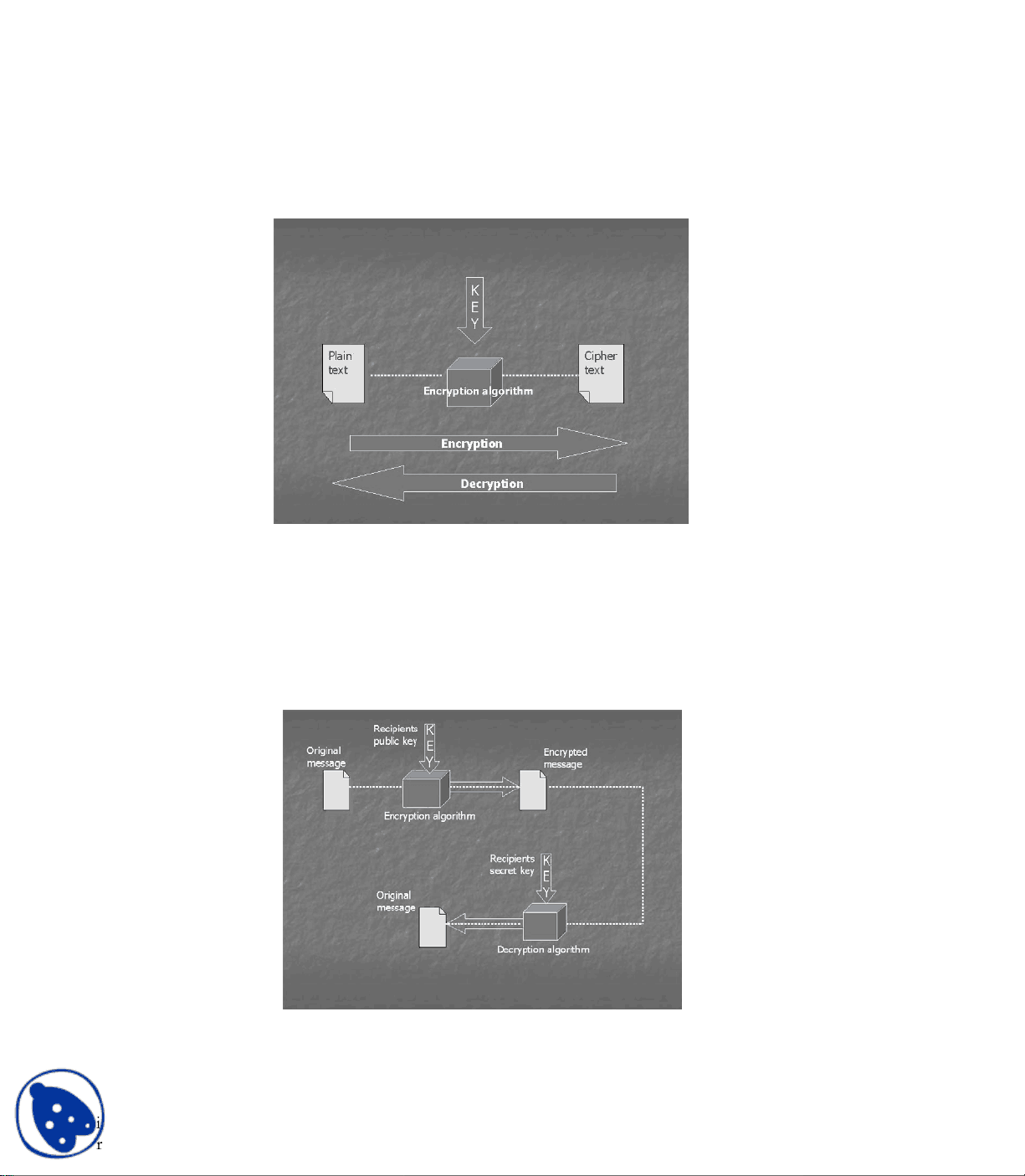 bg1