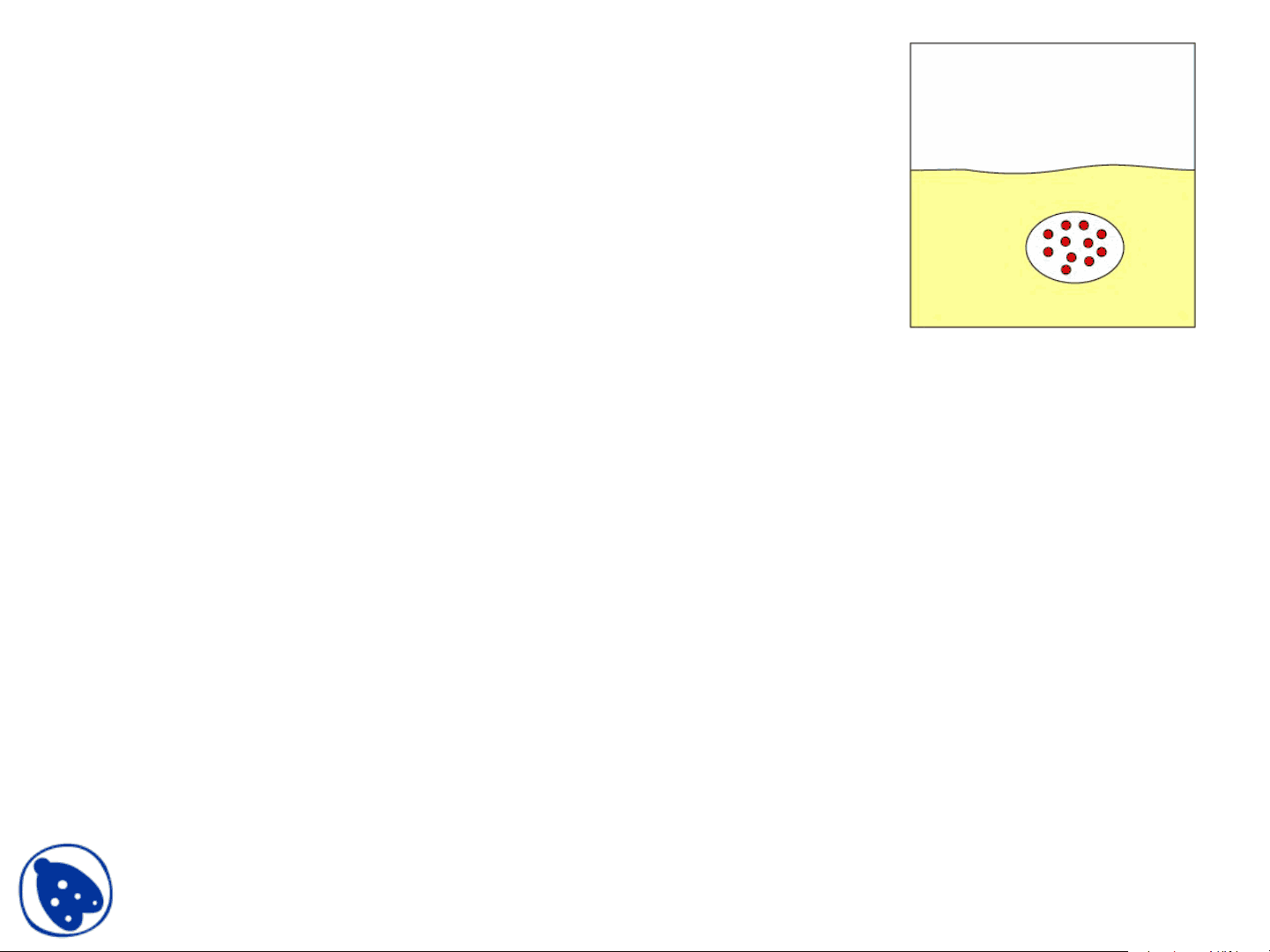 bg1