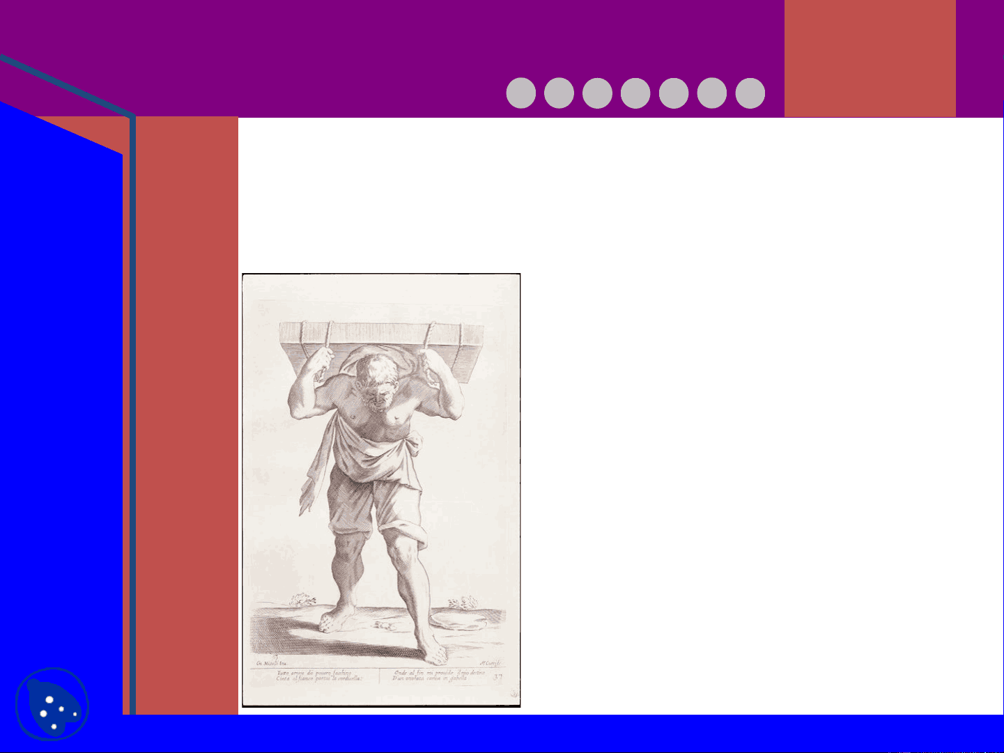 bg1