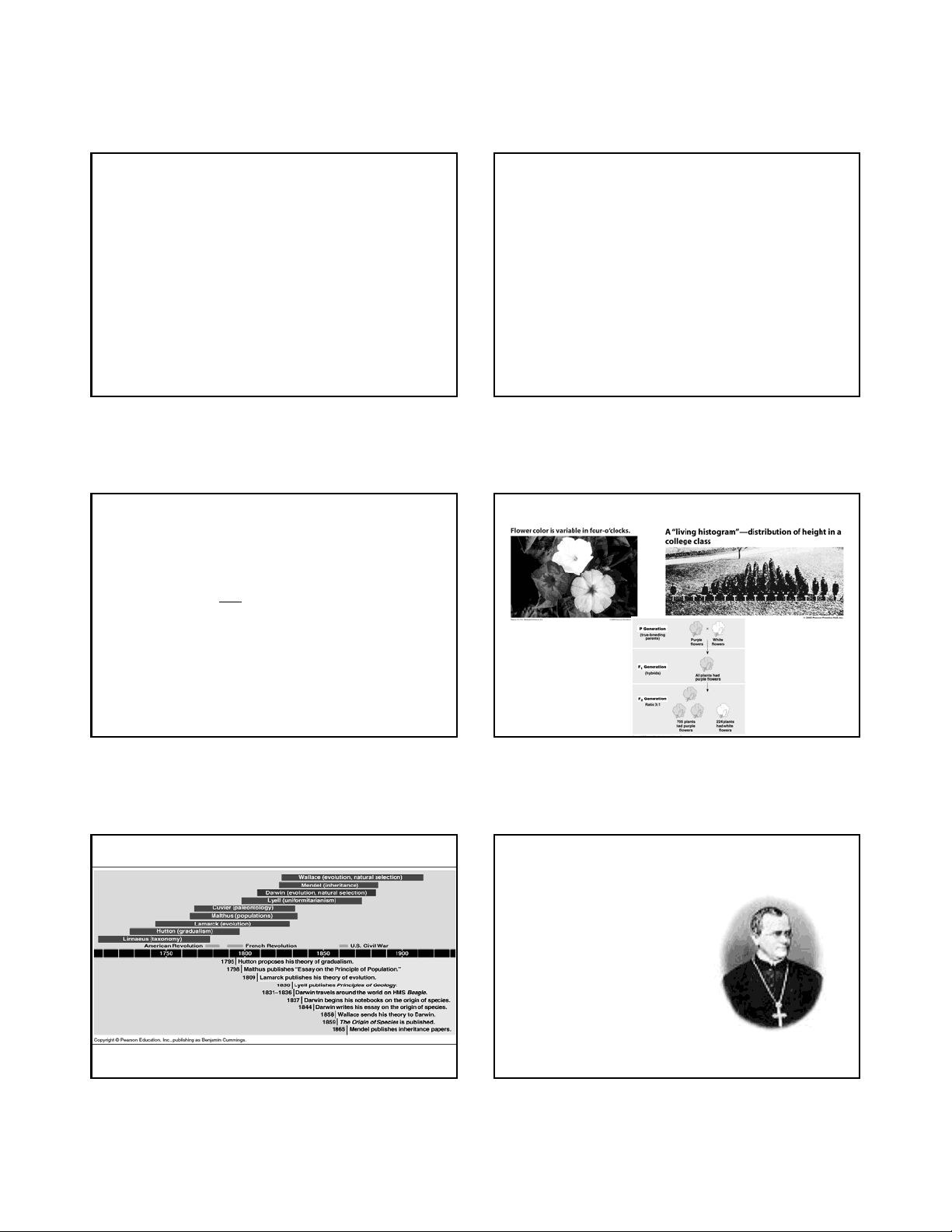 bg1