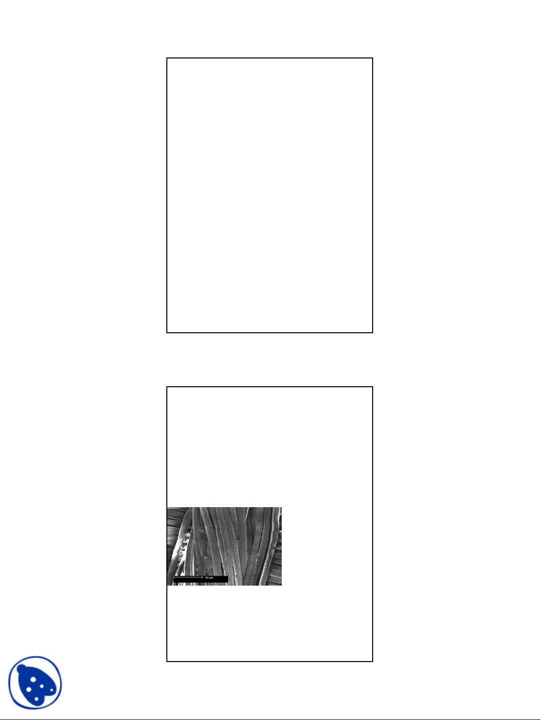bg1