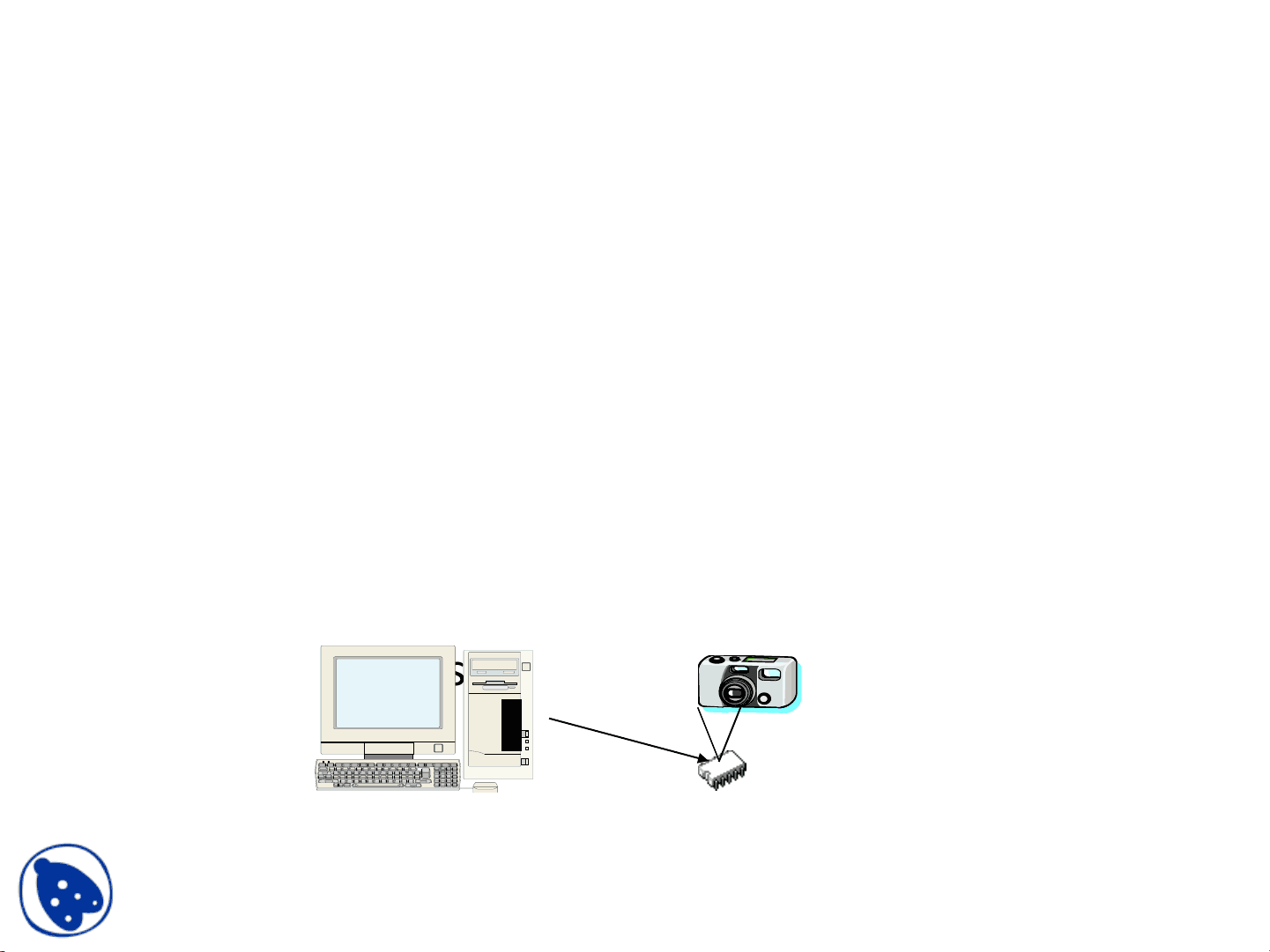 bg1