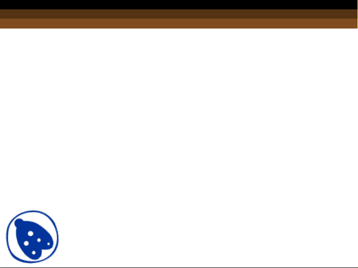 bg1