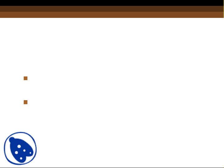 bg1