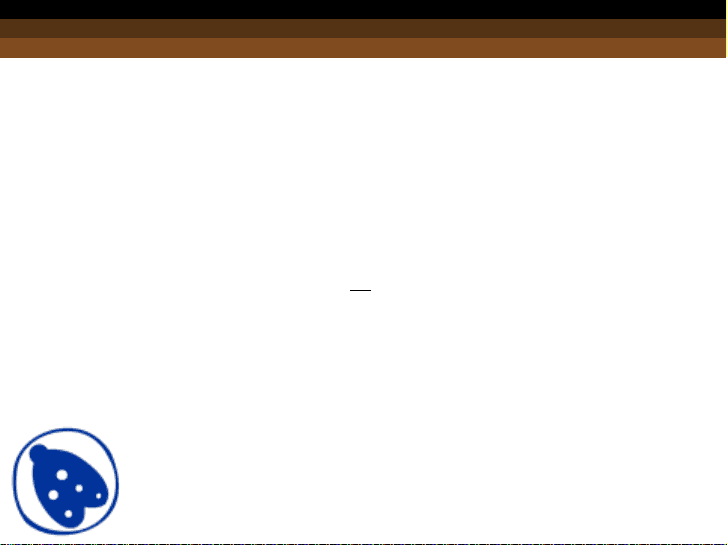 bg1