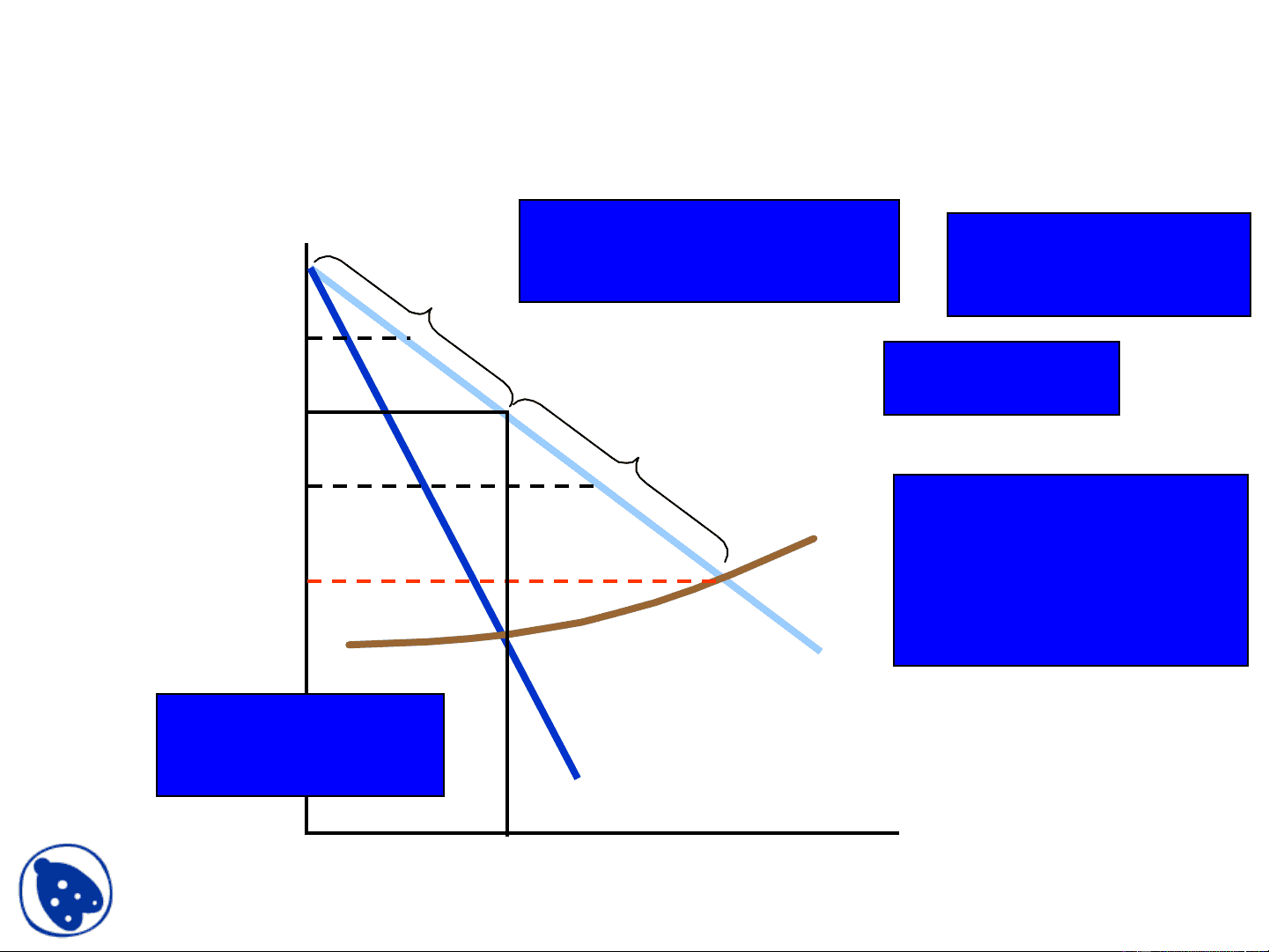 bg1