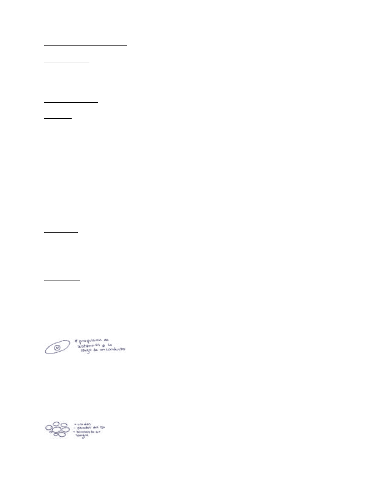 bg1
