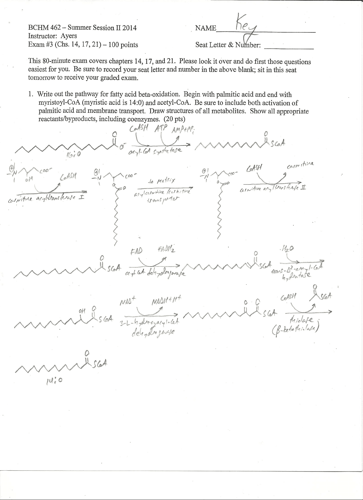 bg1