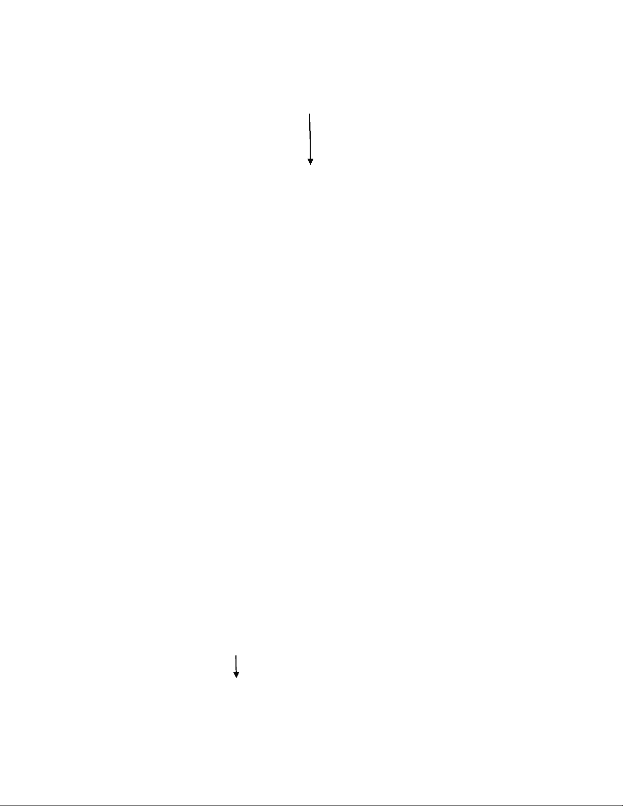 bg1