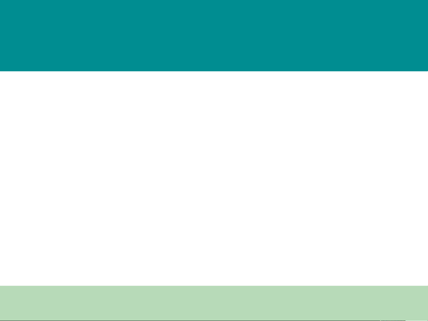 bg1