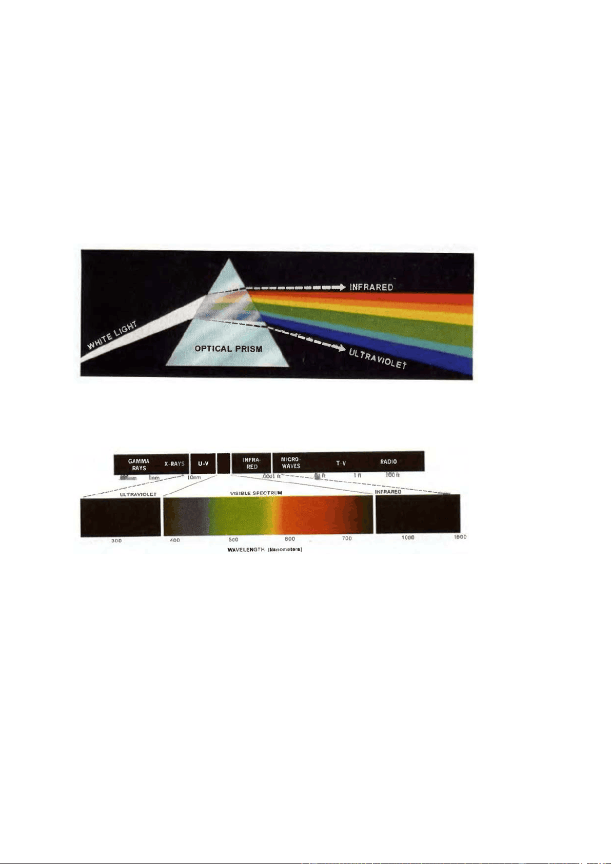 bg1
