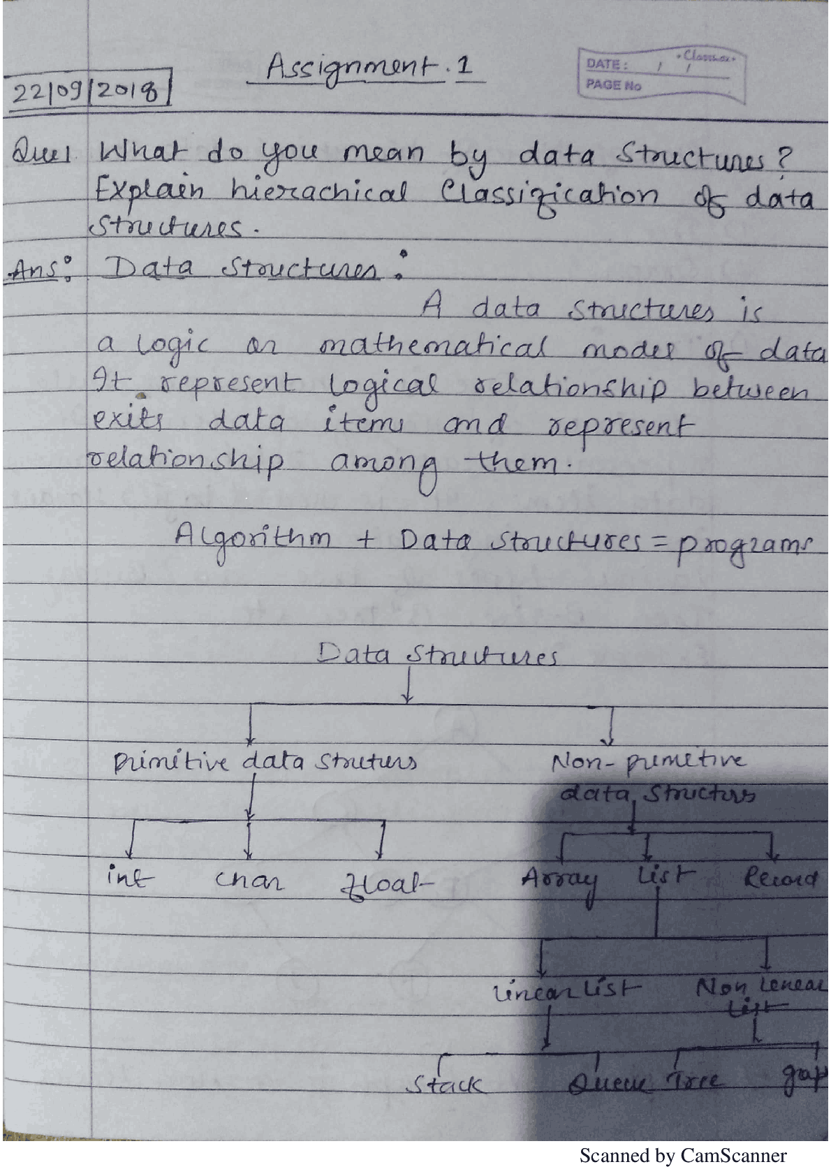 bg1