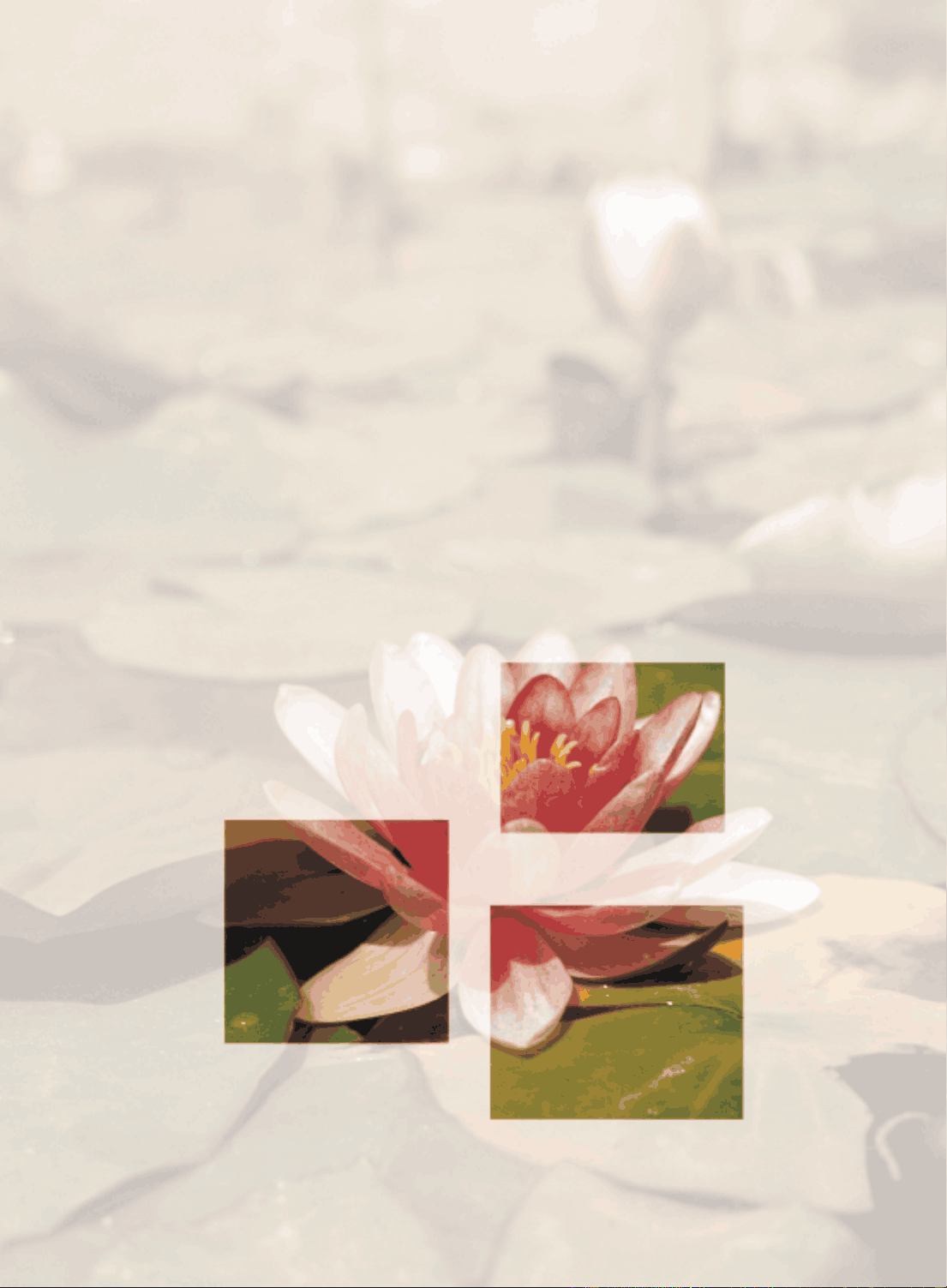 bg1