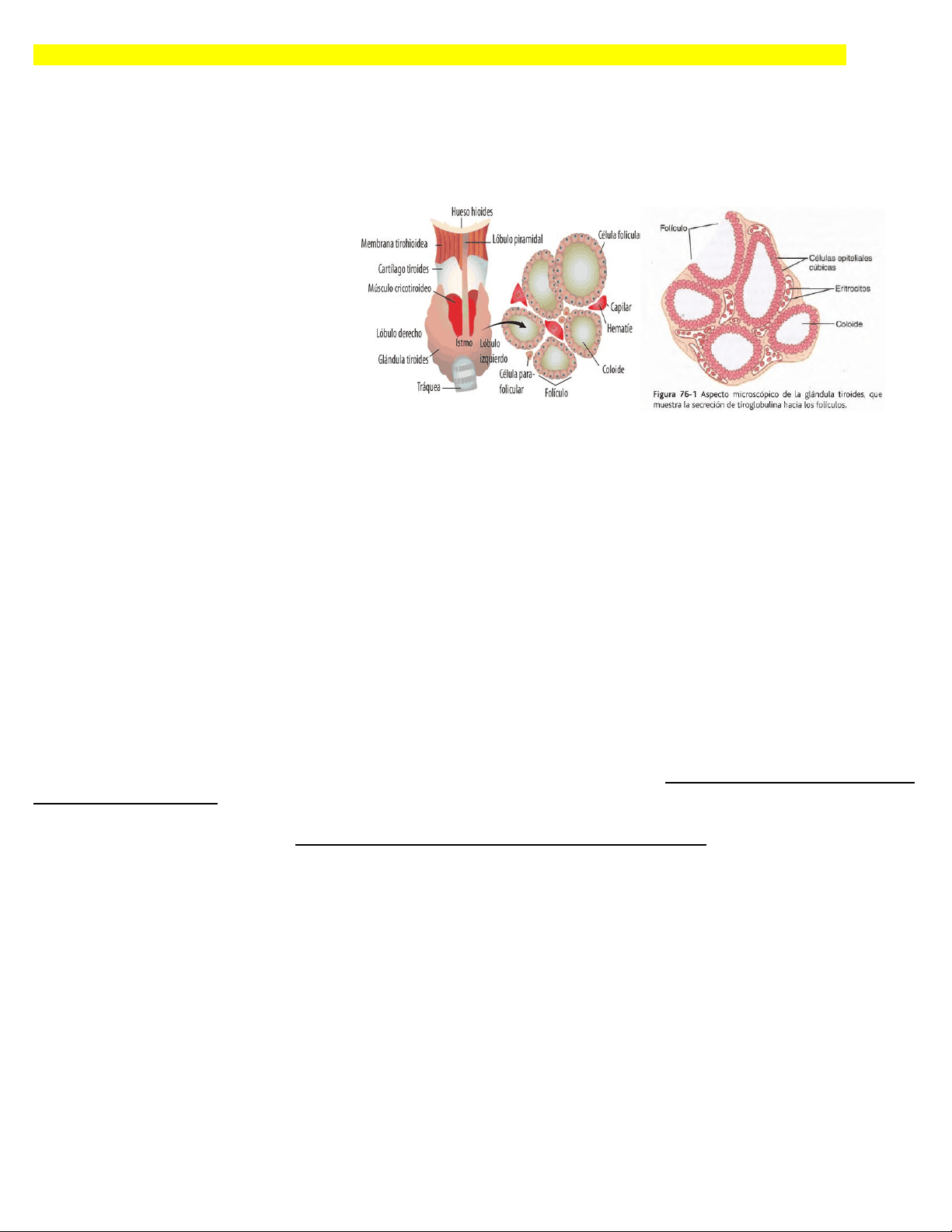 bg1
