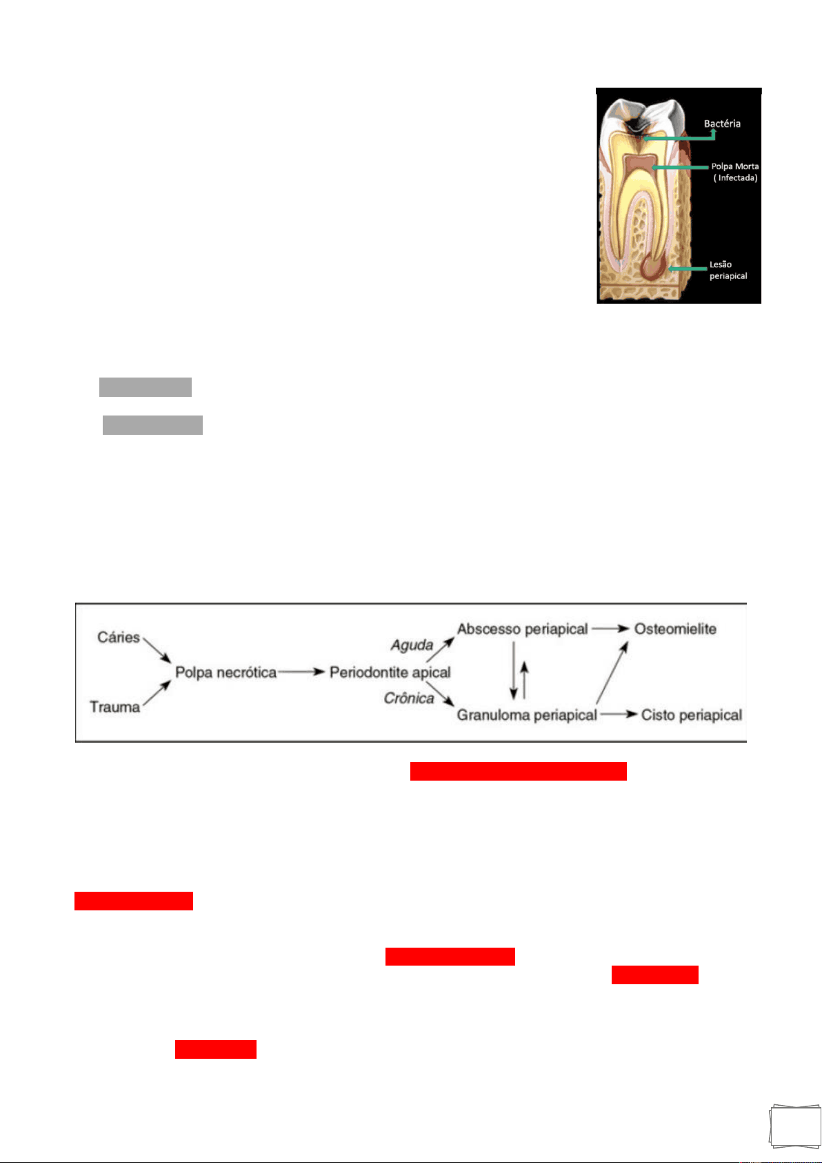 bg1