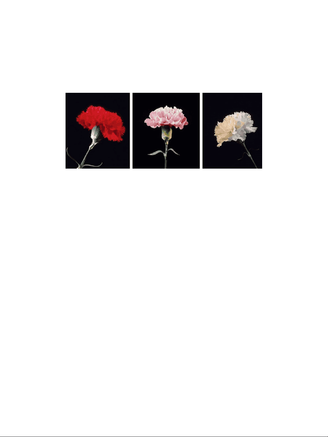 bg1