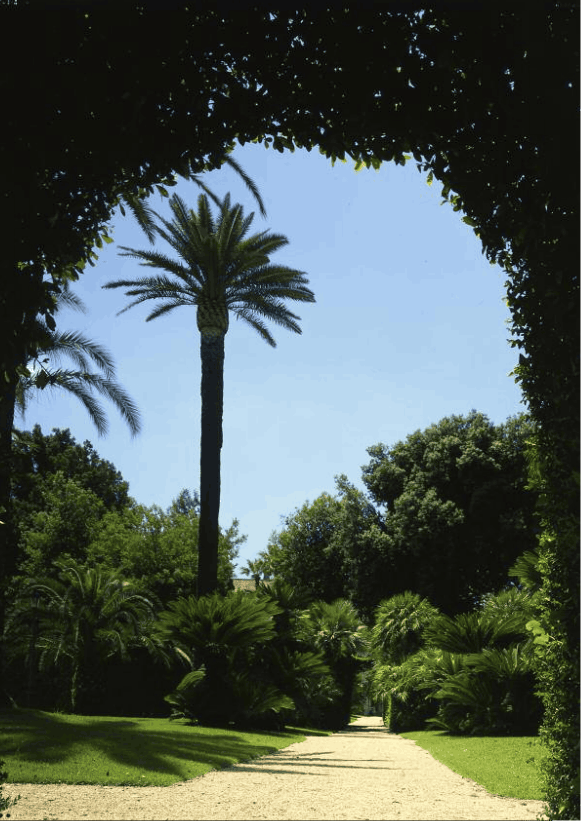 bg1