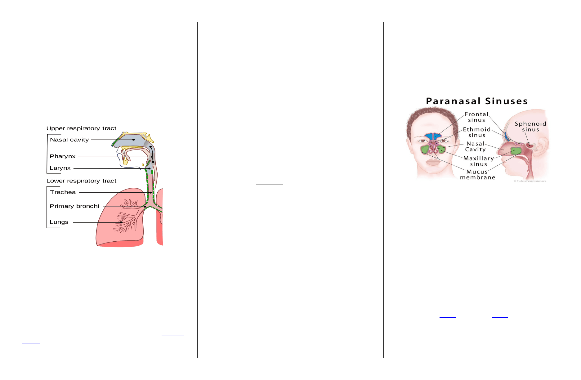 bg1