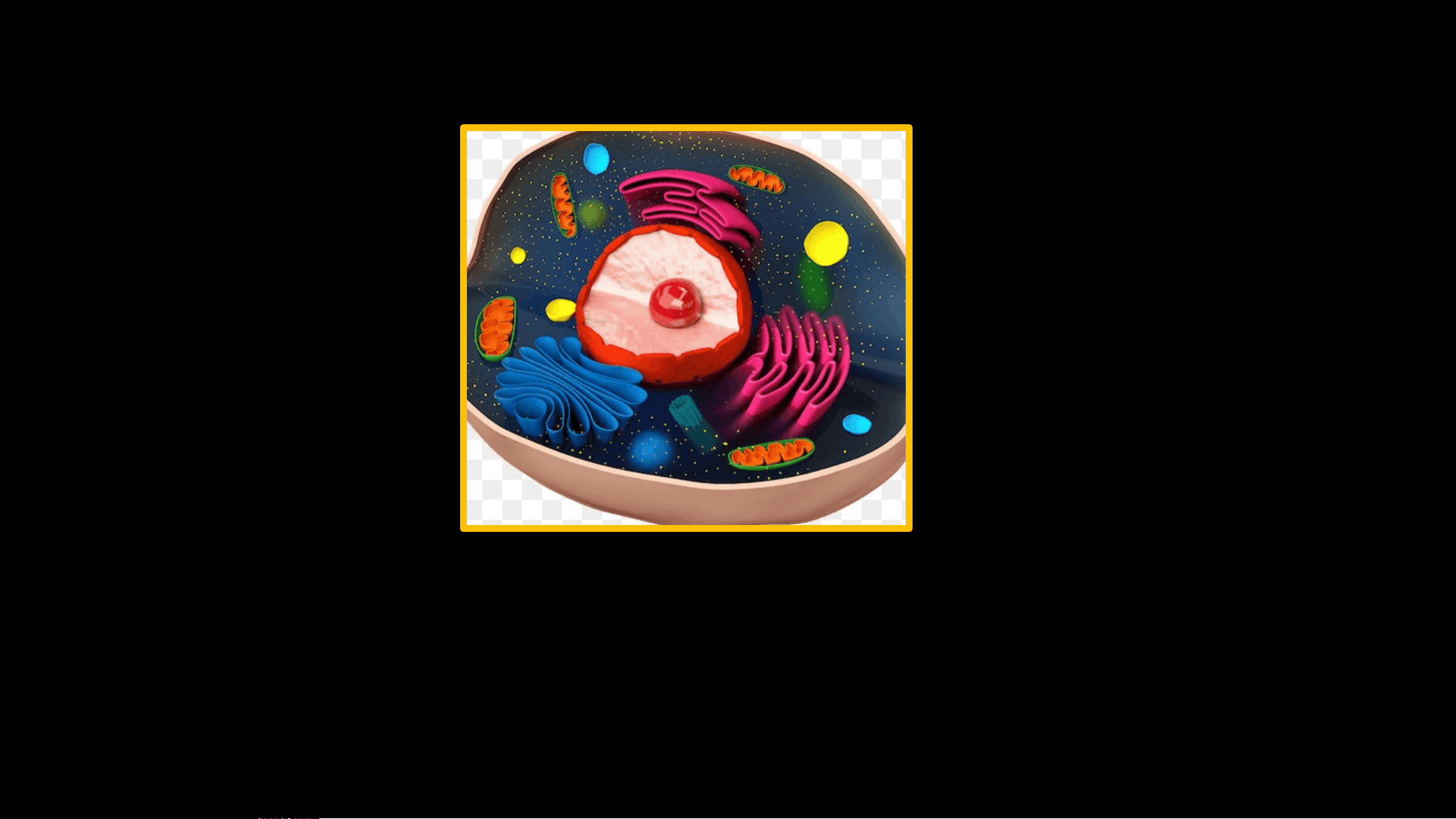 bg1