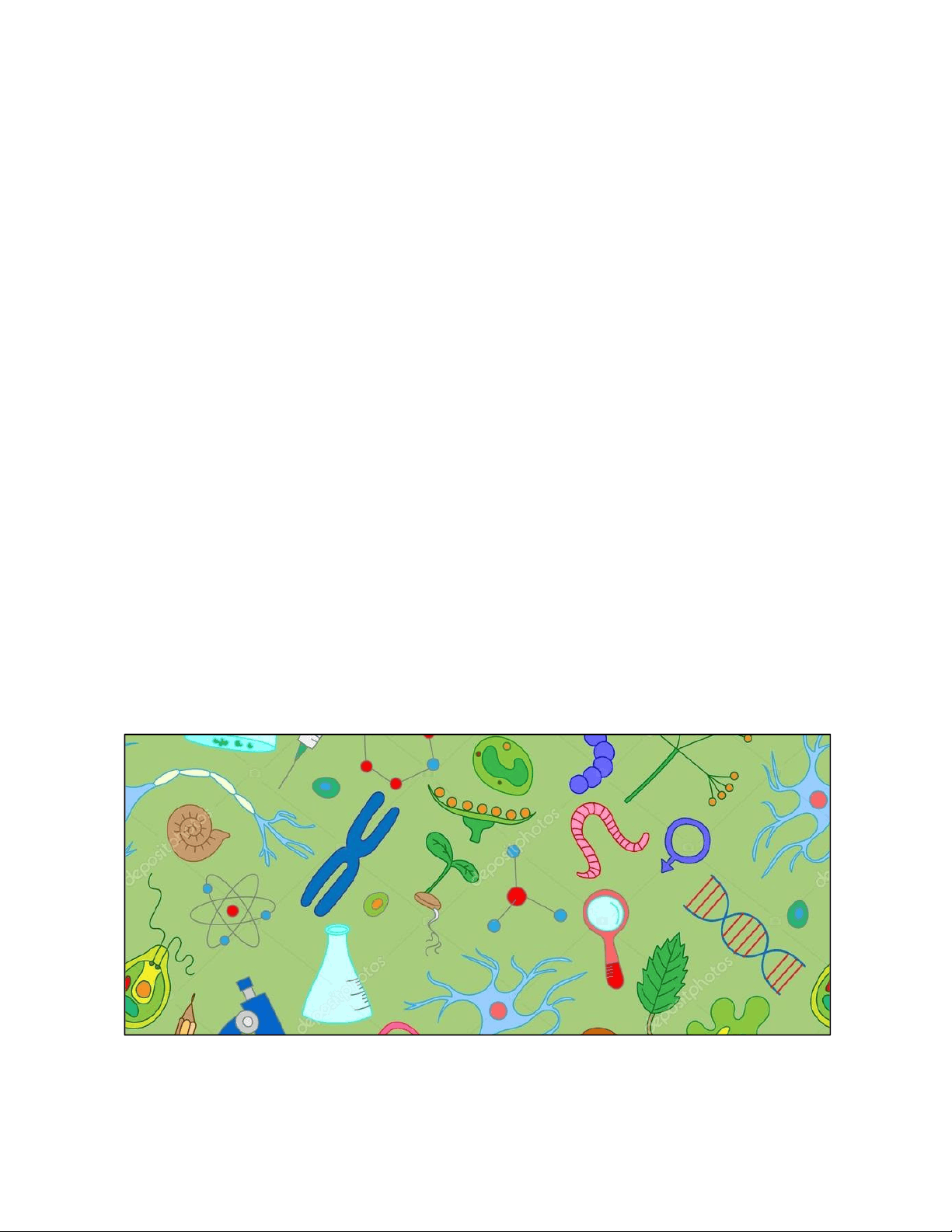 bg1