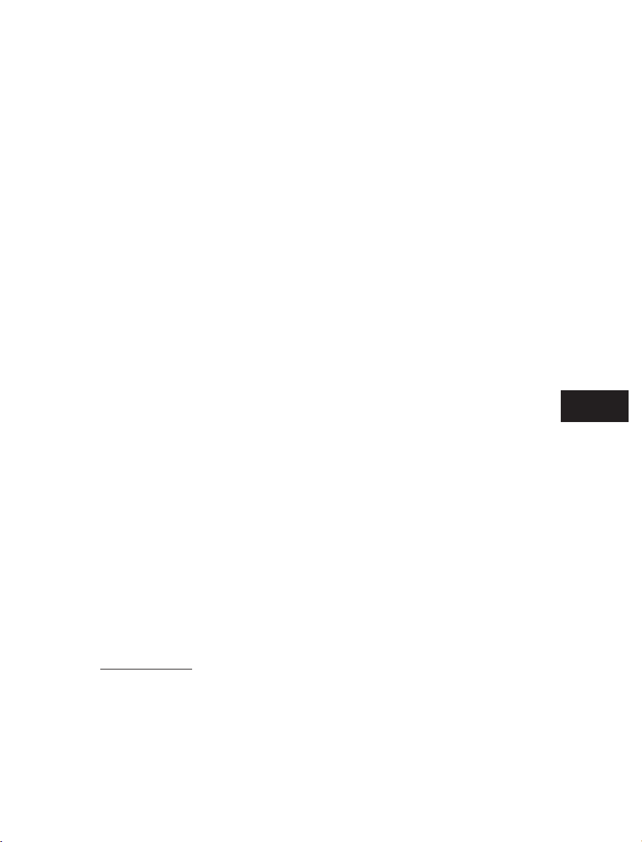 bg1