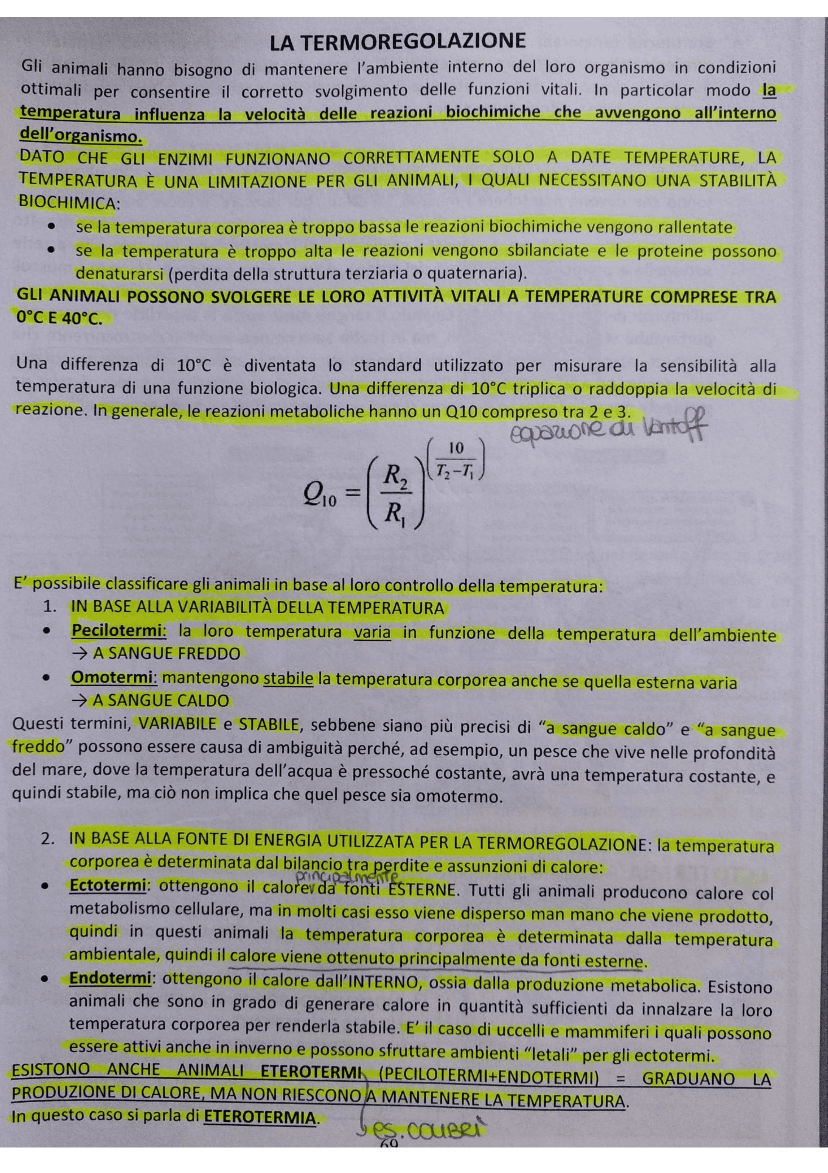 bg1