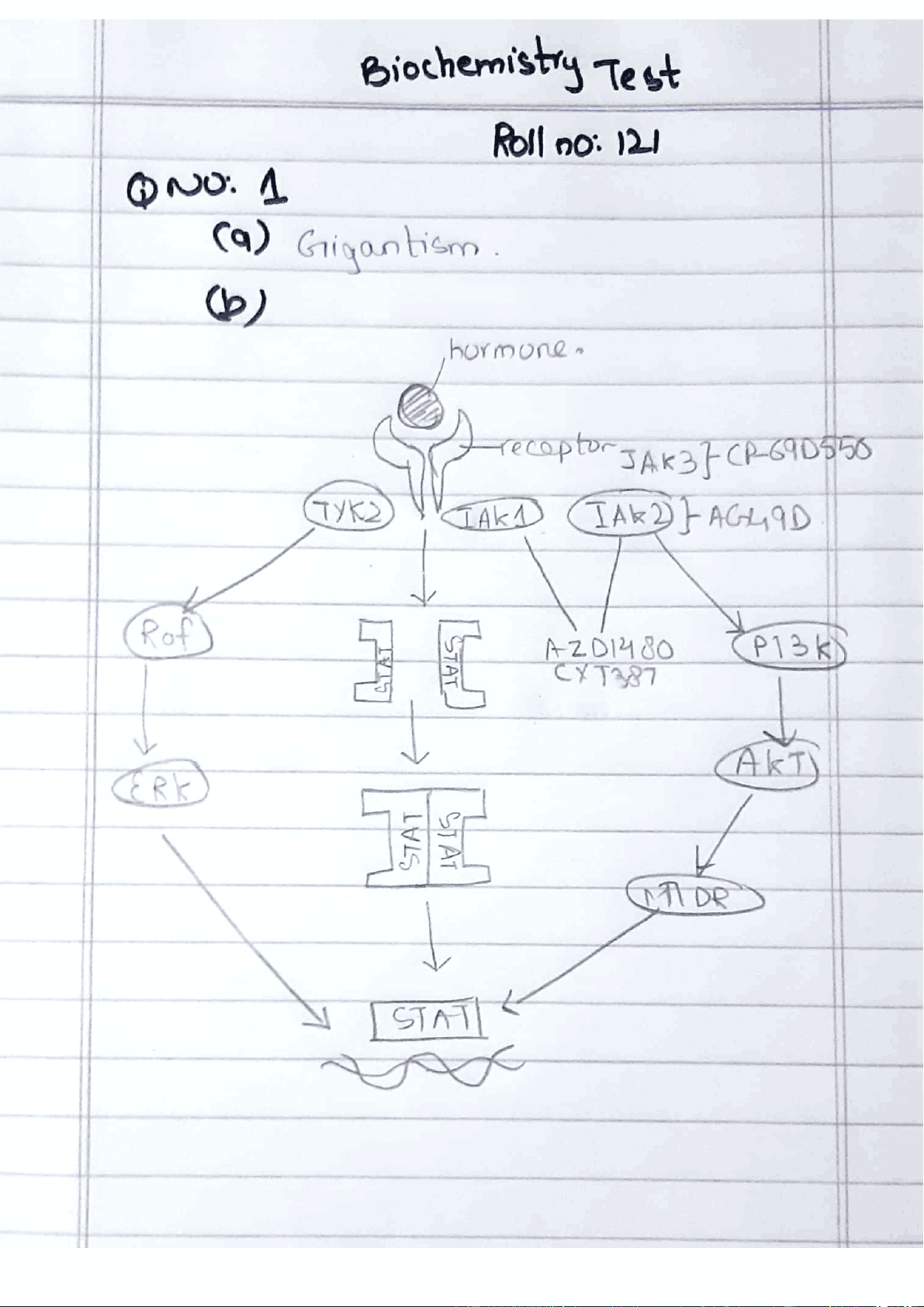 bg1