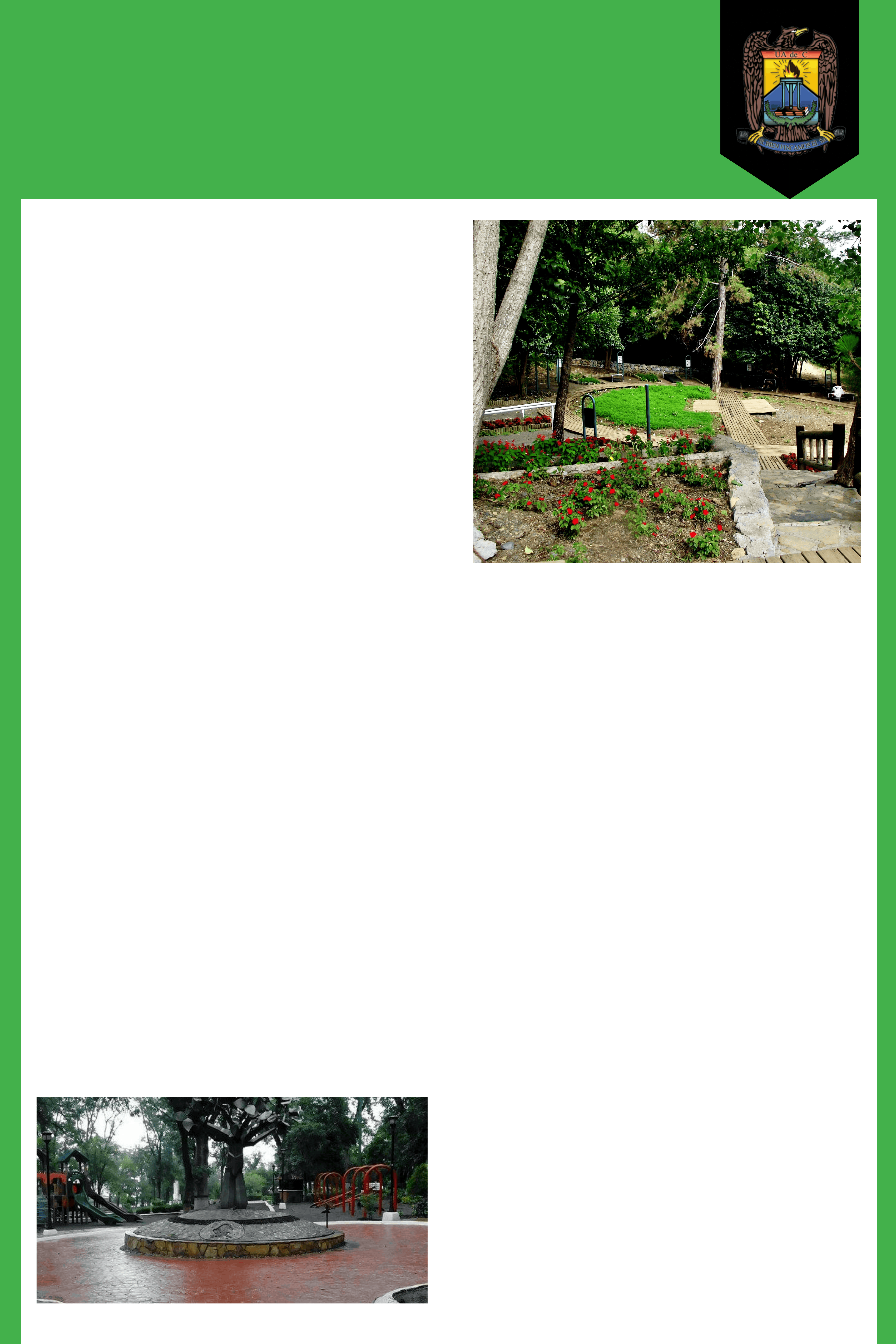 bg1