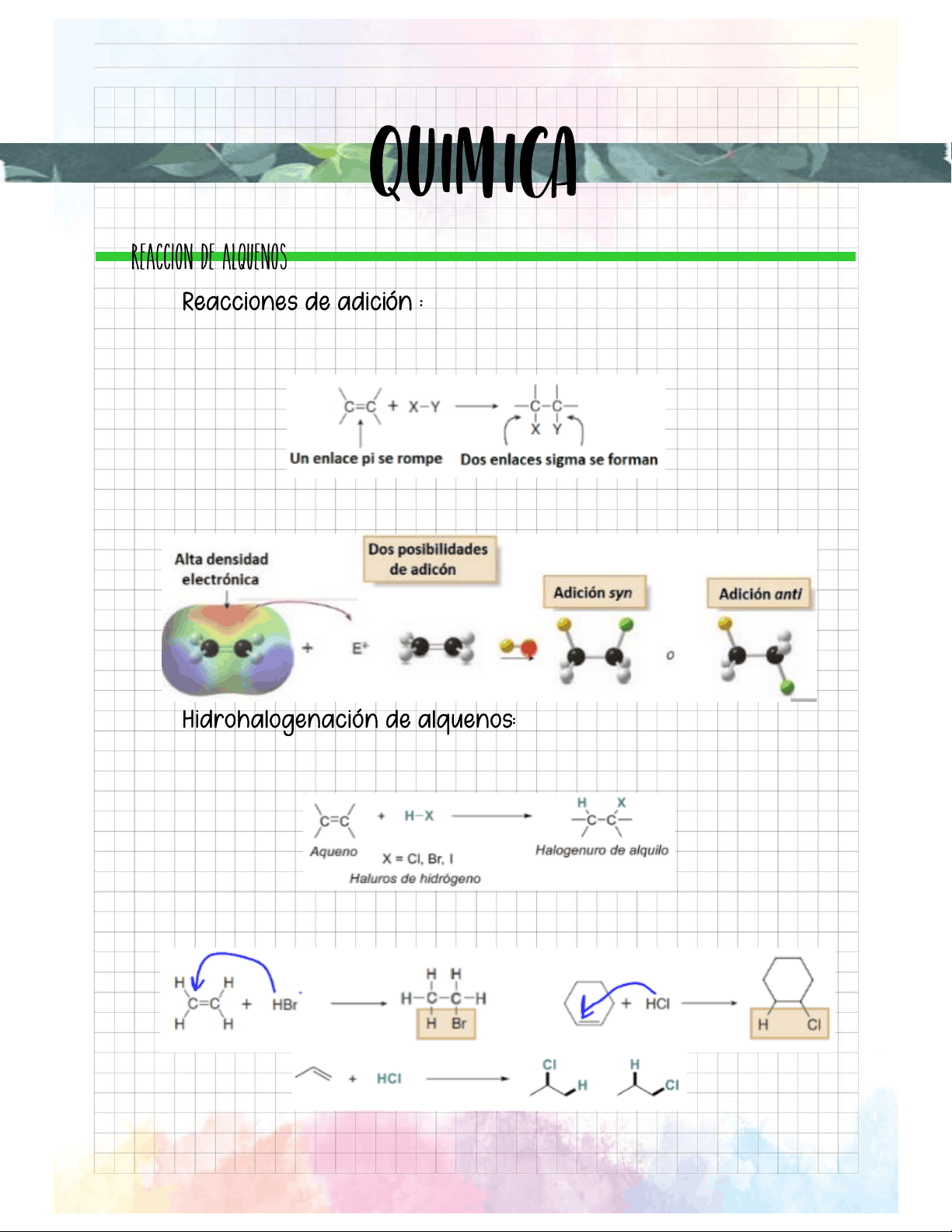 bg1