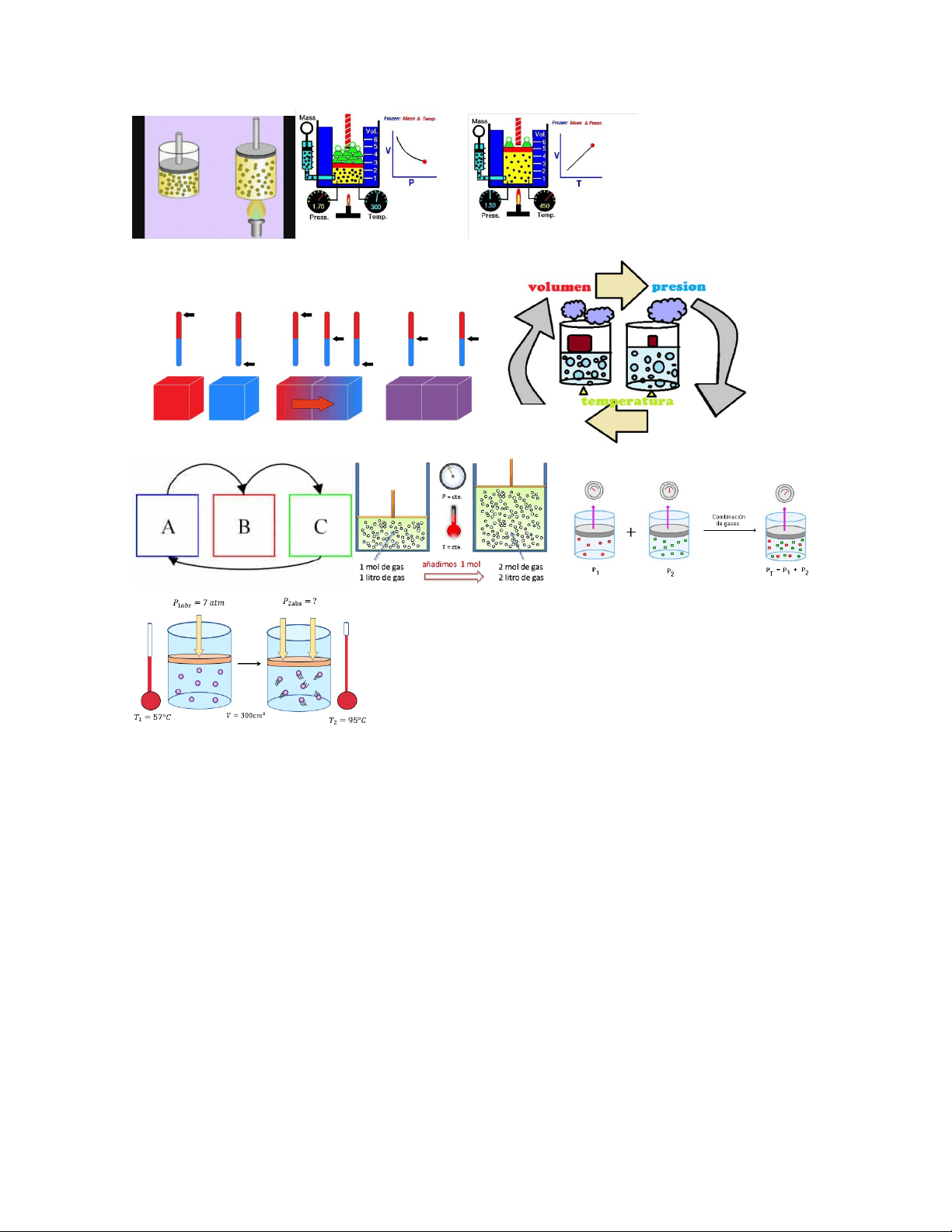 bg1