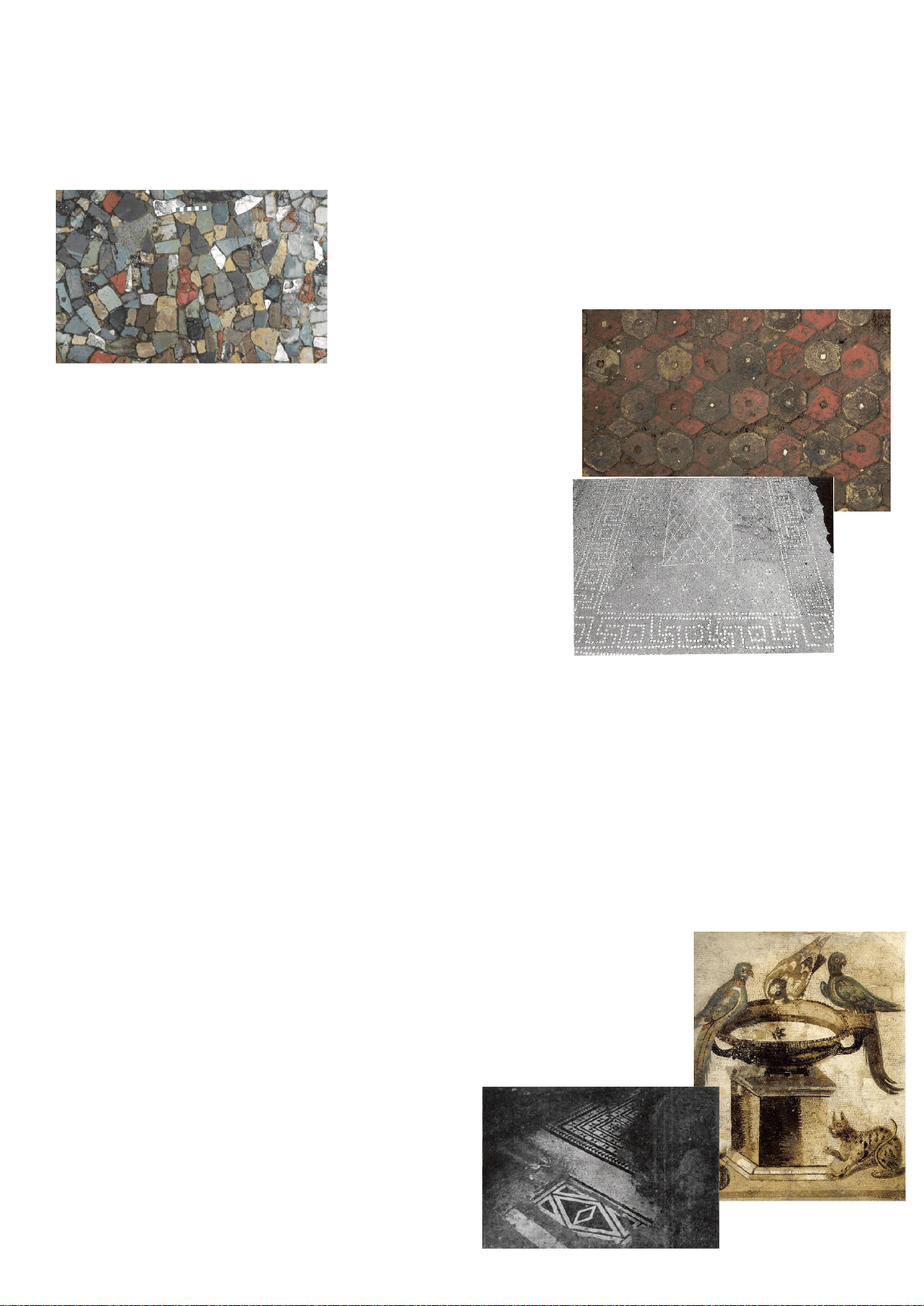 bg1