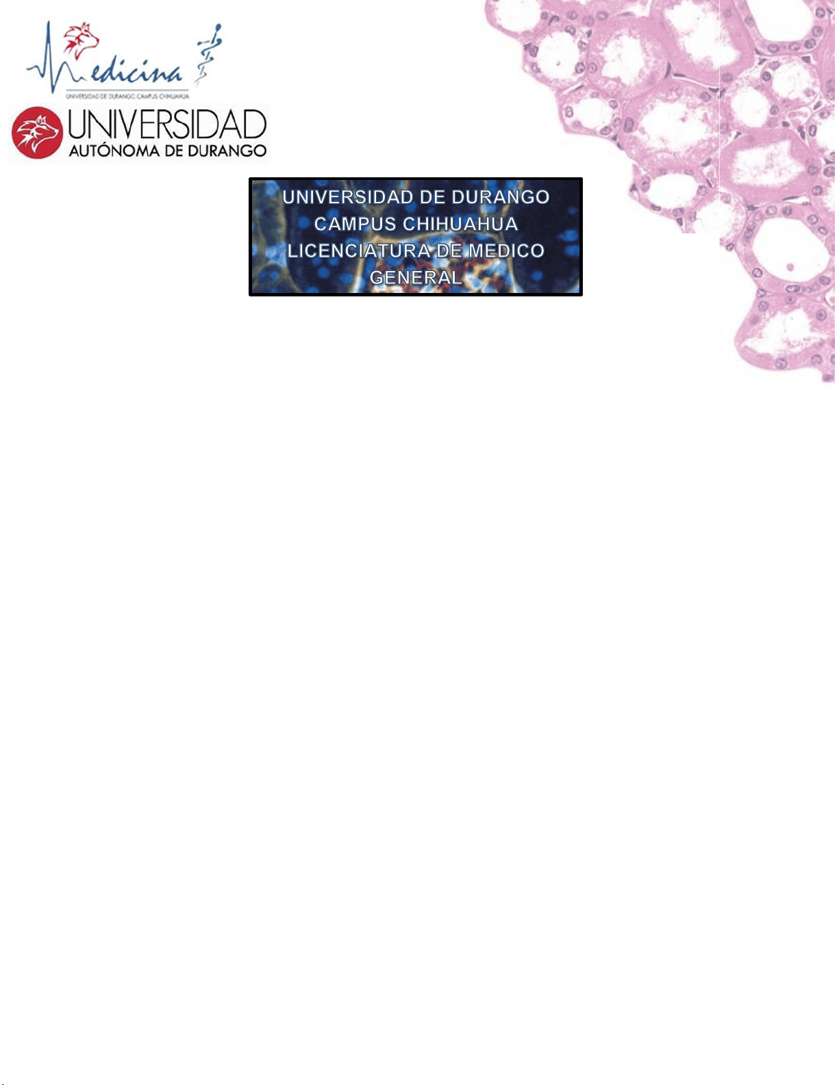 bg1
