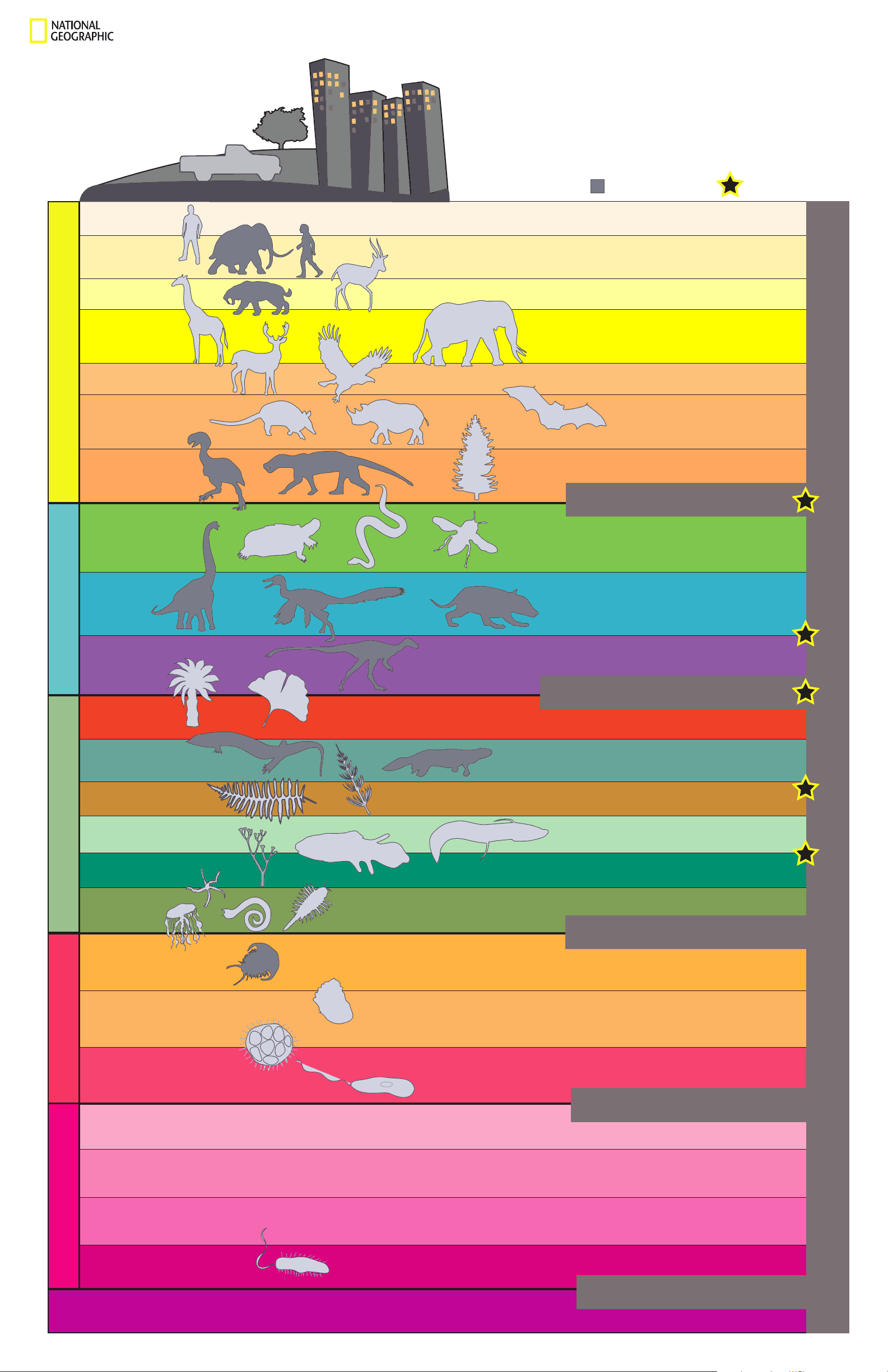 bg1