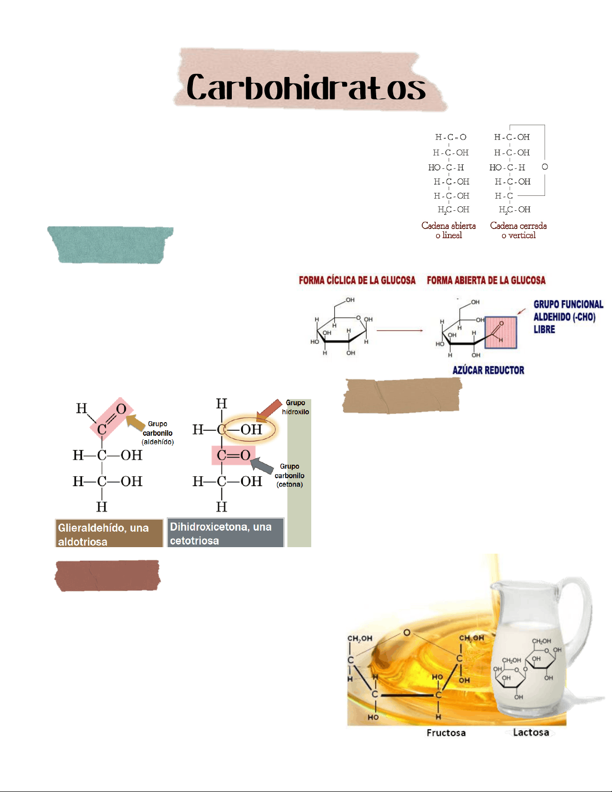 bg1