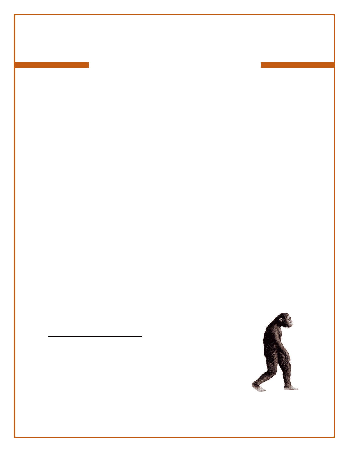 bg1