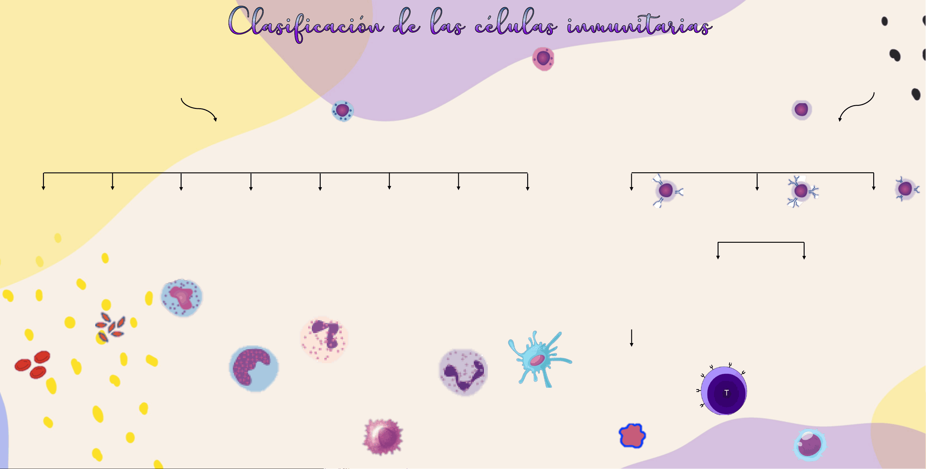 bg1