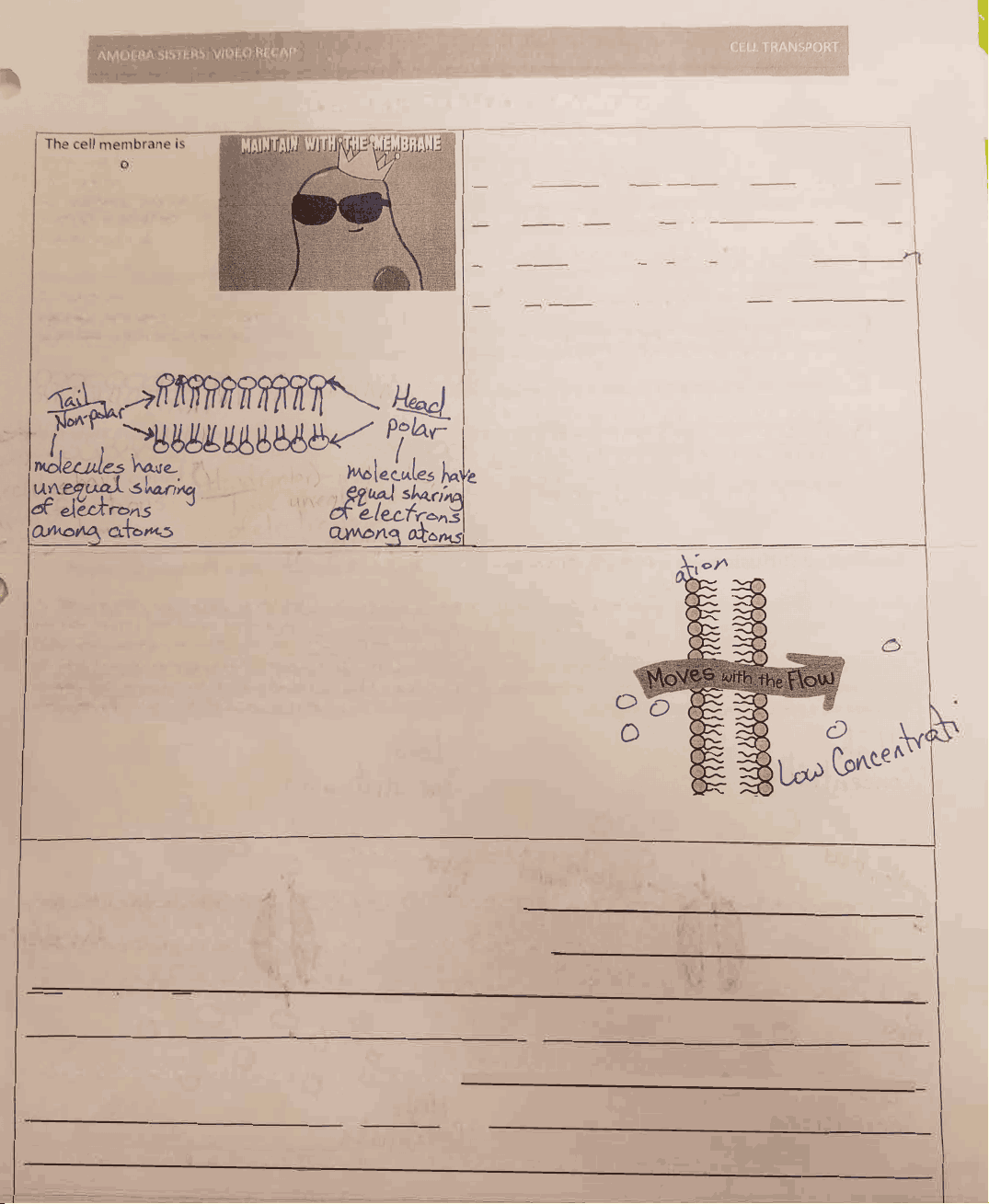 bg1