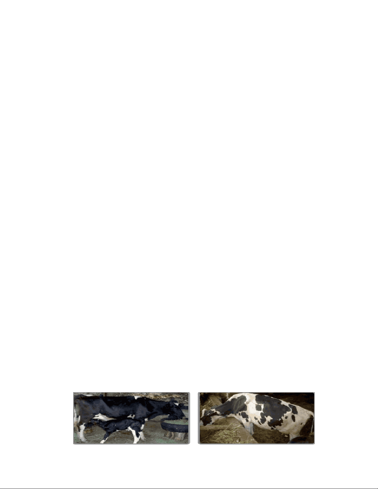 bg1
