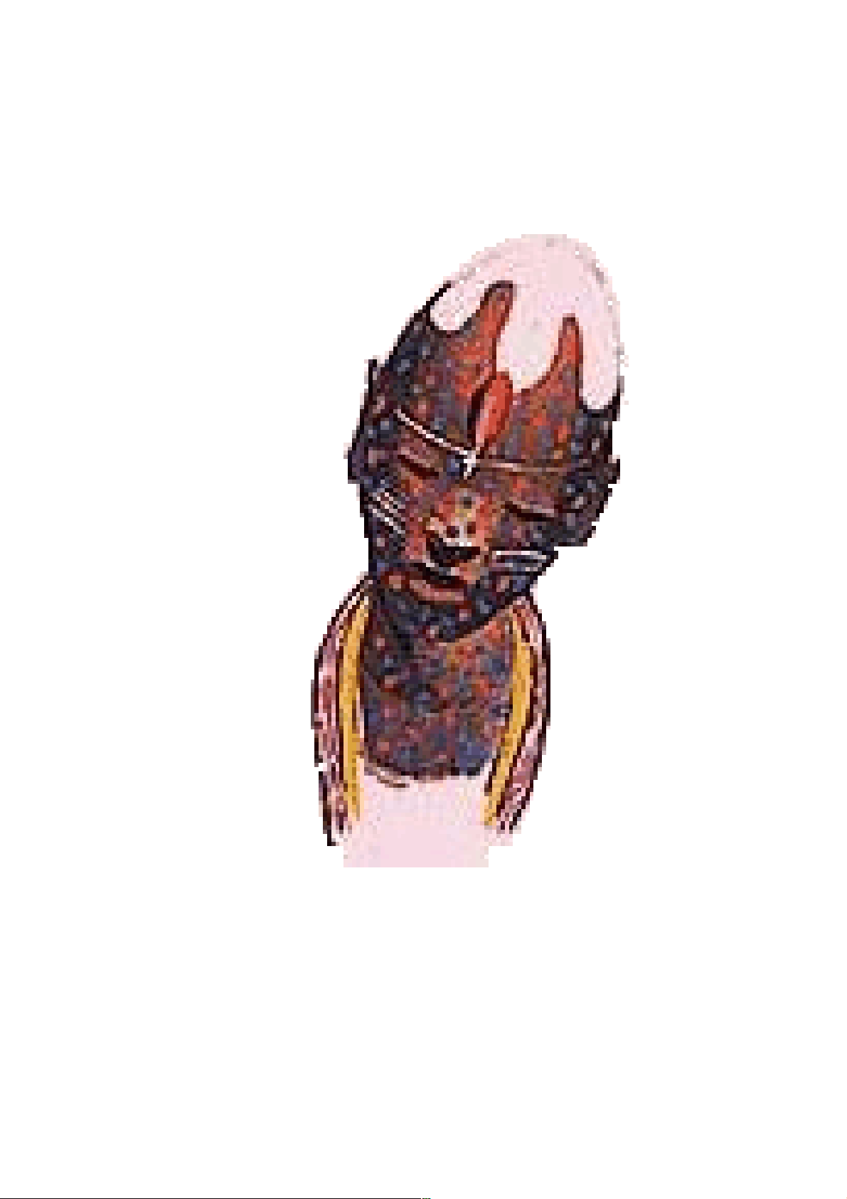 bg1