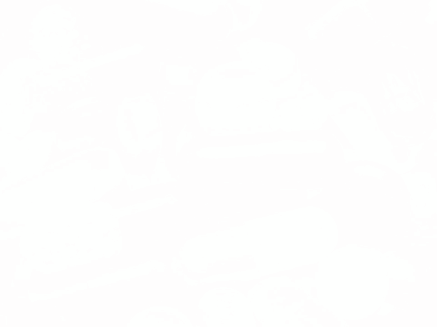 bg1