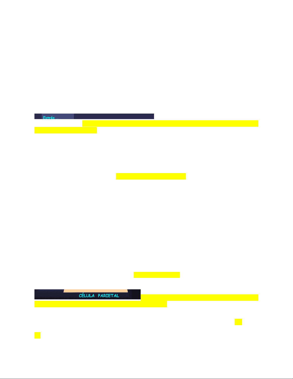 bg1