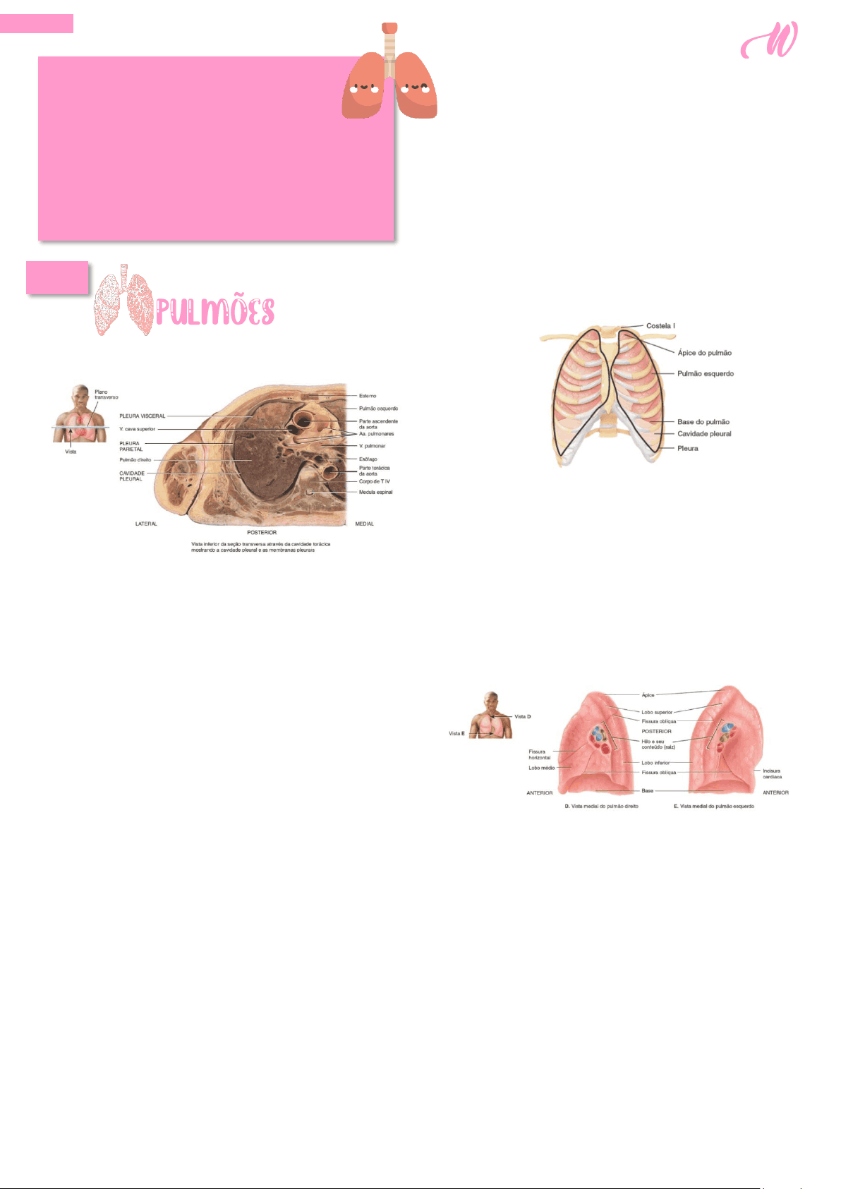 bg1
