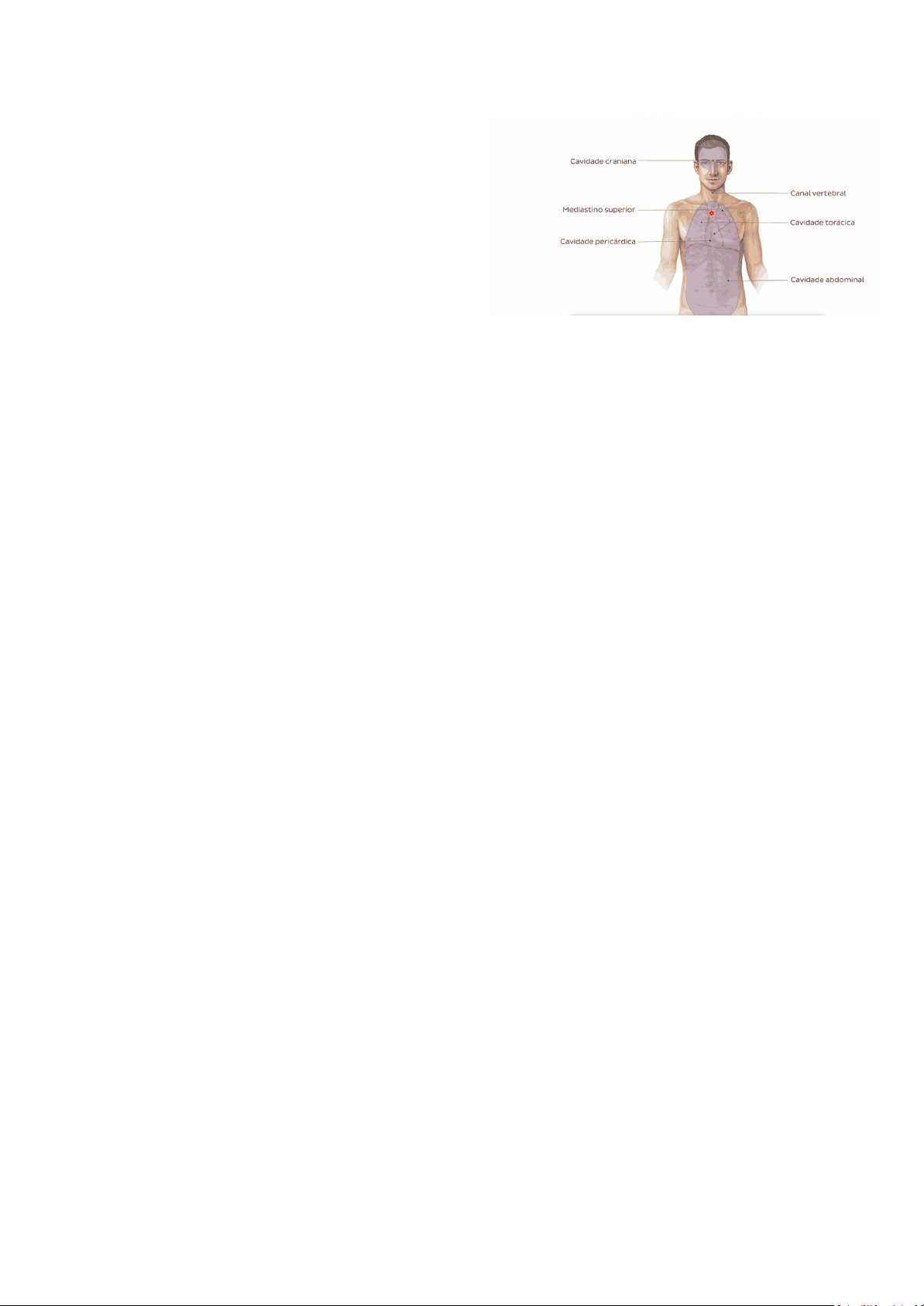 bg1