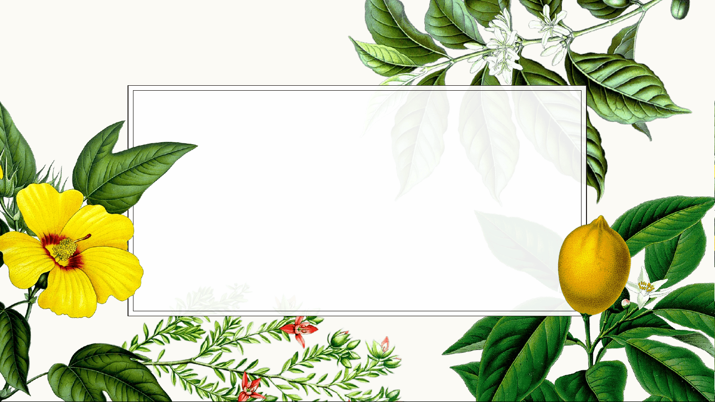 bg1