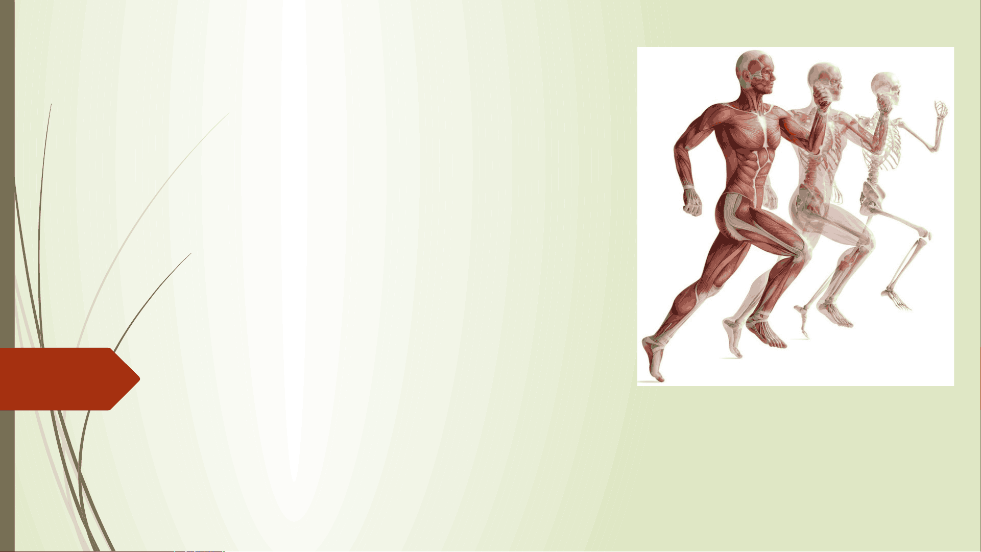bg1